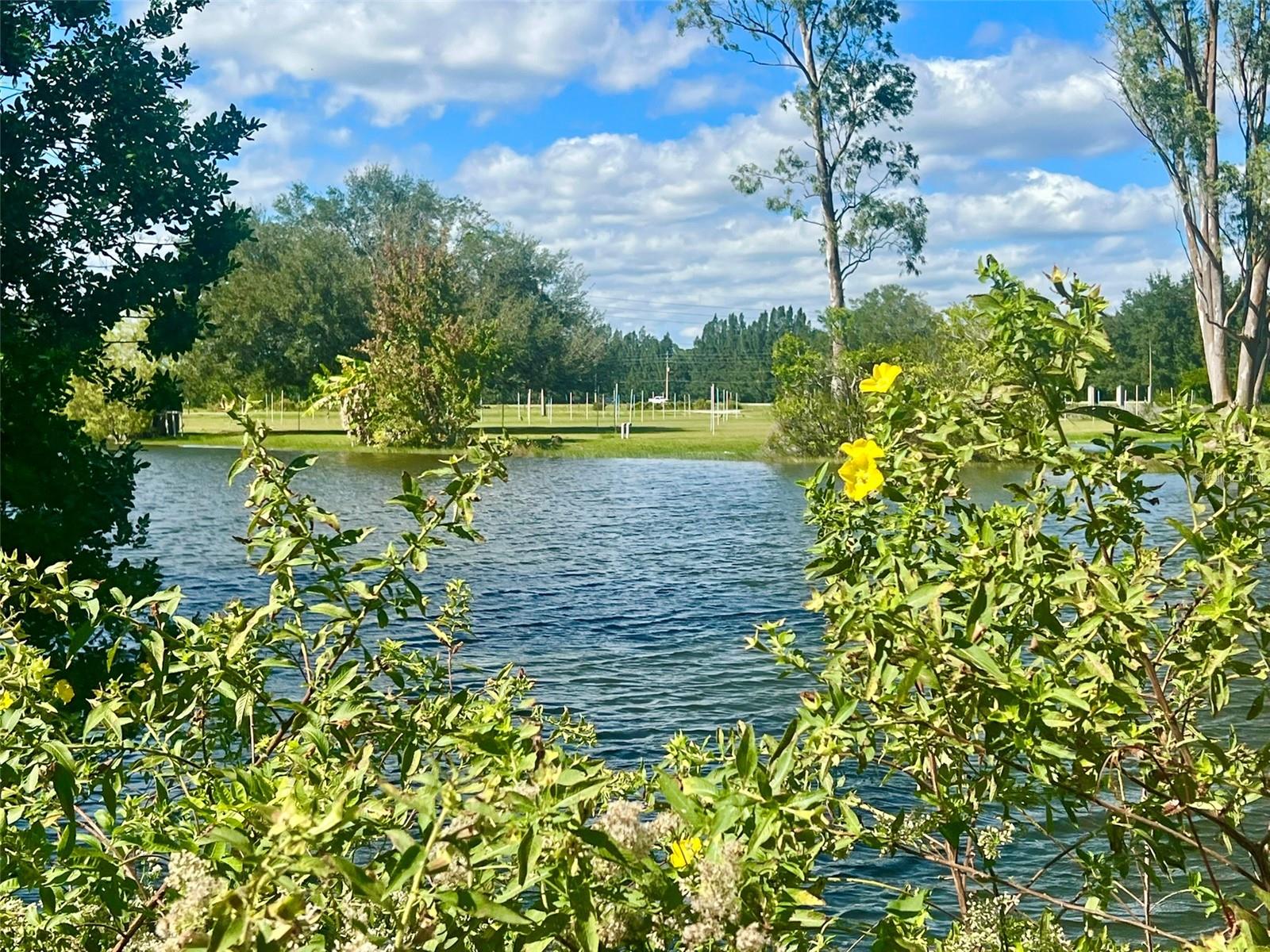 SEMINOLE LAND & INV CO - Land