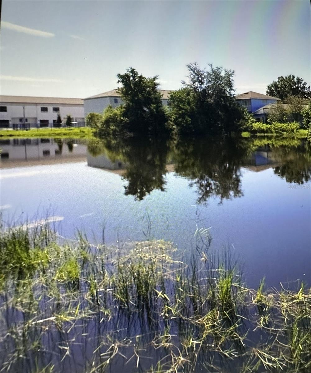 SEMINOLE LAND & INV CO - Land