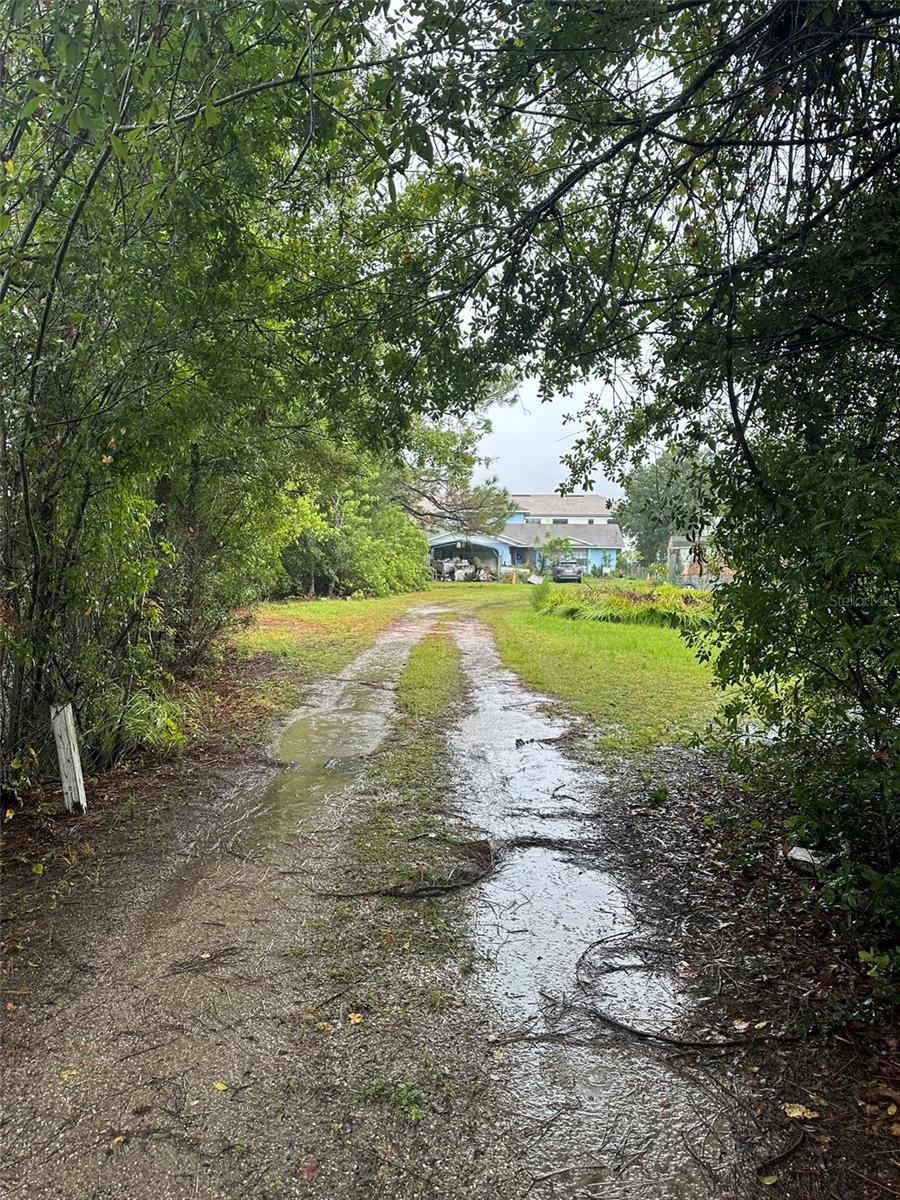 SEMINOLE LAND & INV CO - Land