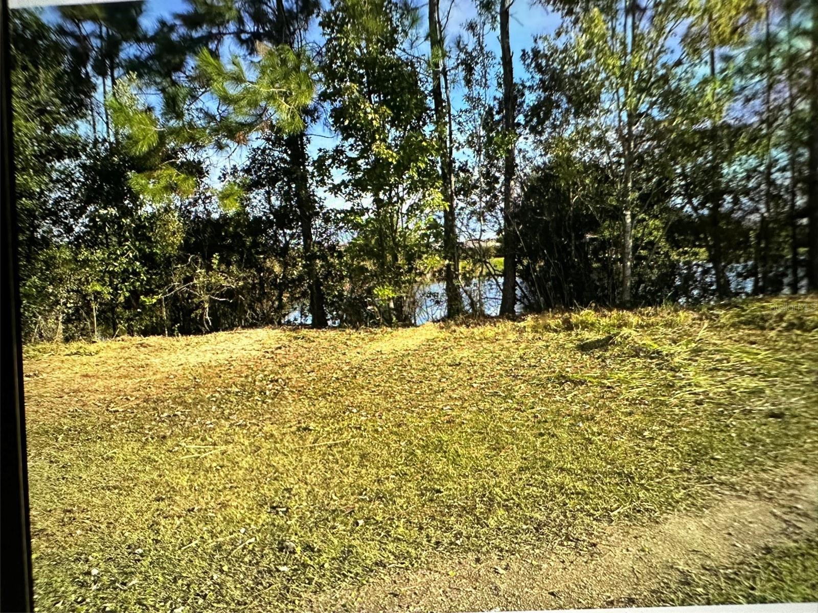 SEMINOLE LAND & INV CO - Land