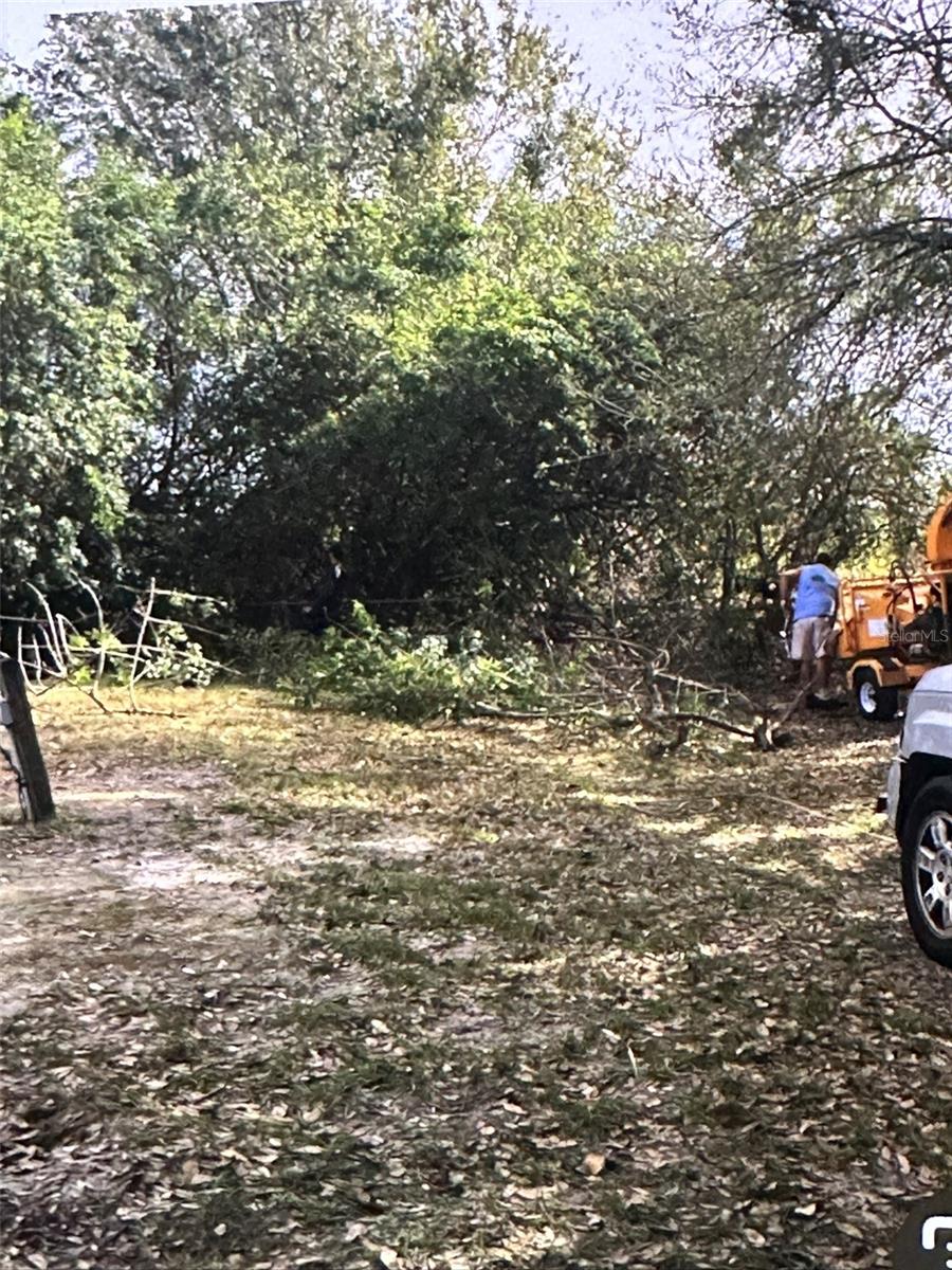 SEMINOLE LAND & INV CO - Land