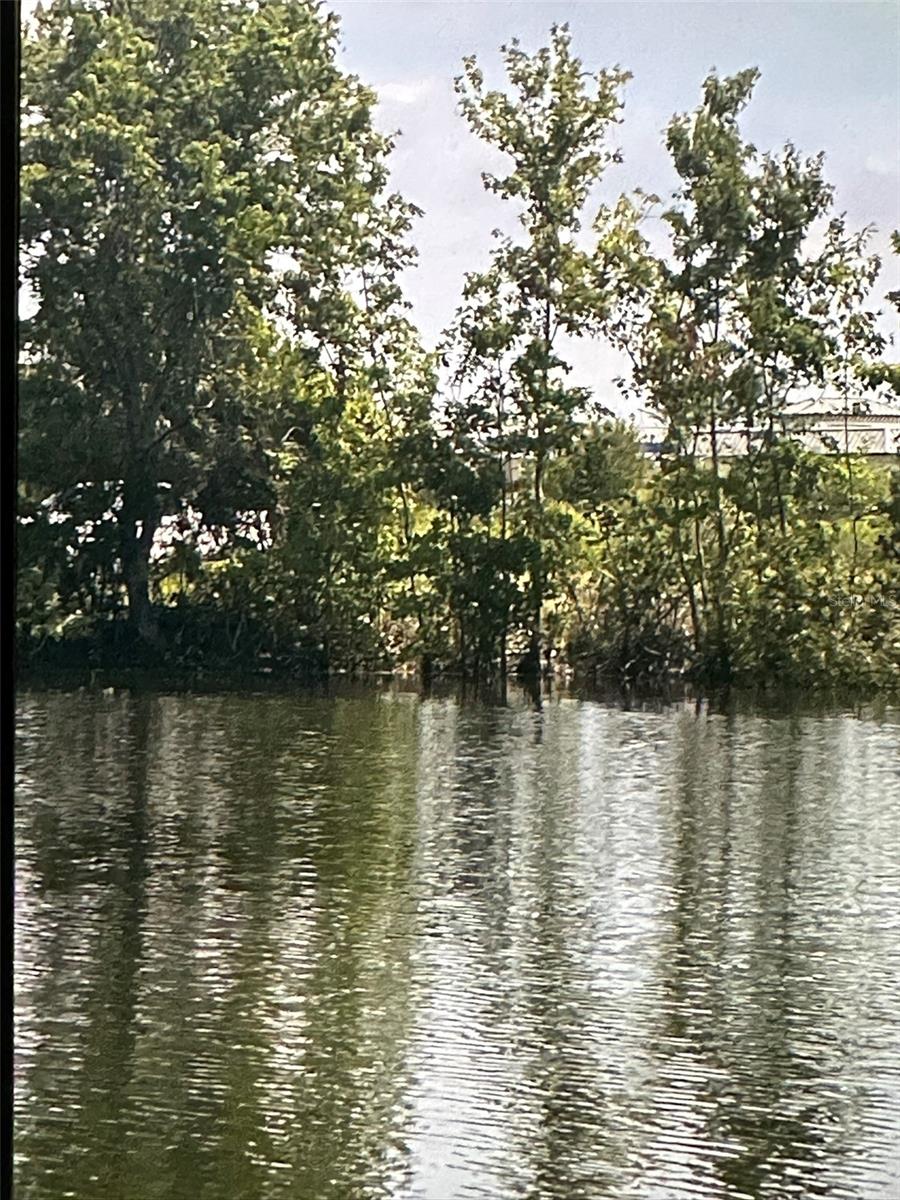 SEMINOLE LAND & INV CO - Land