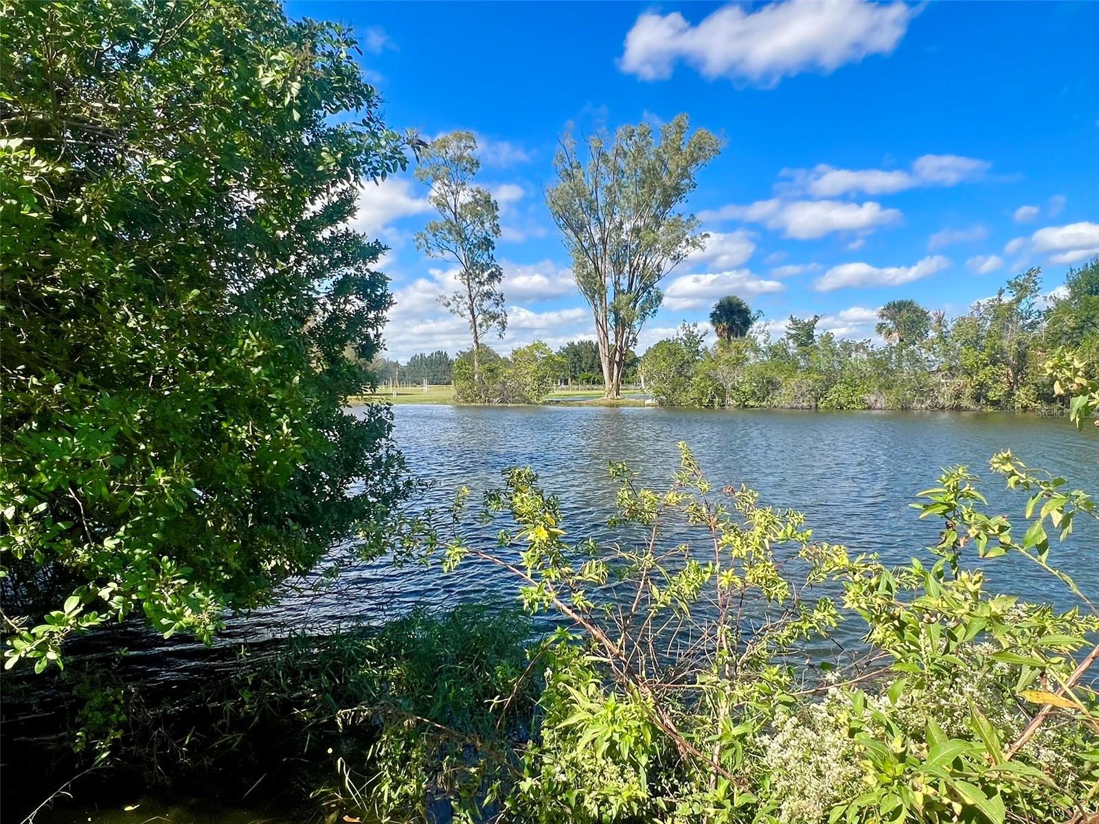 SEMINOLE LAND & INV CO - Land