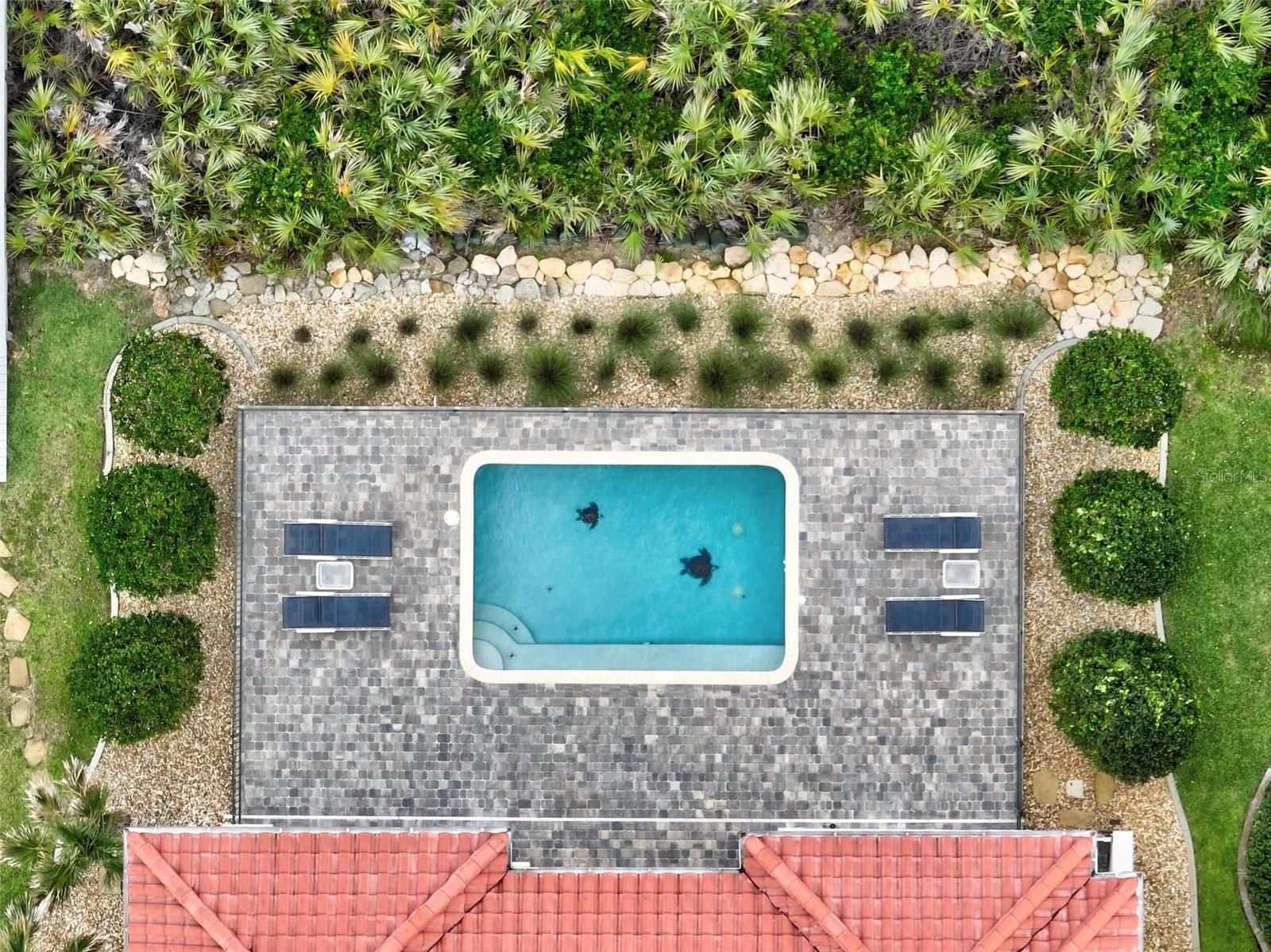 OCEAN HAMMOCK - Residential