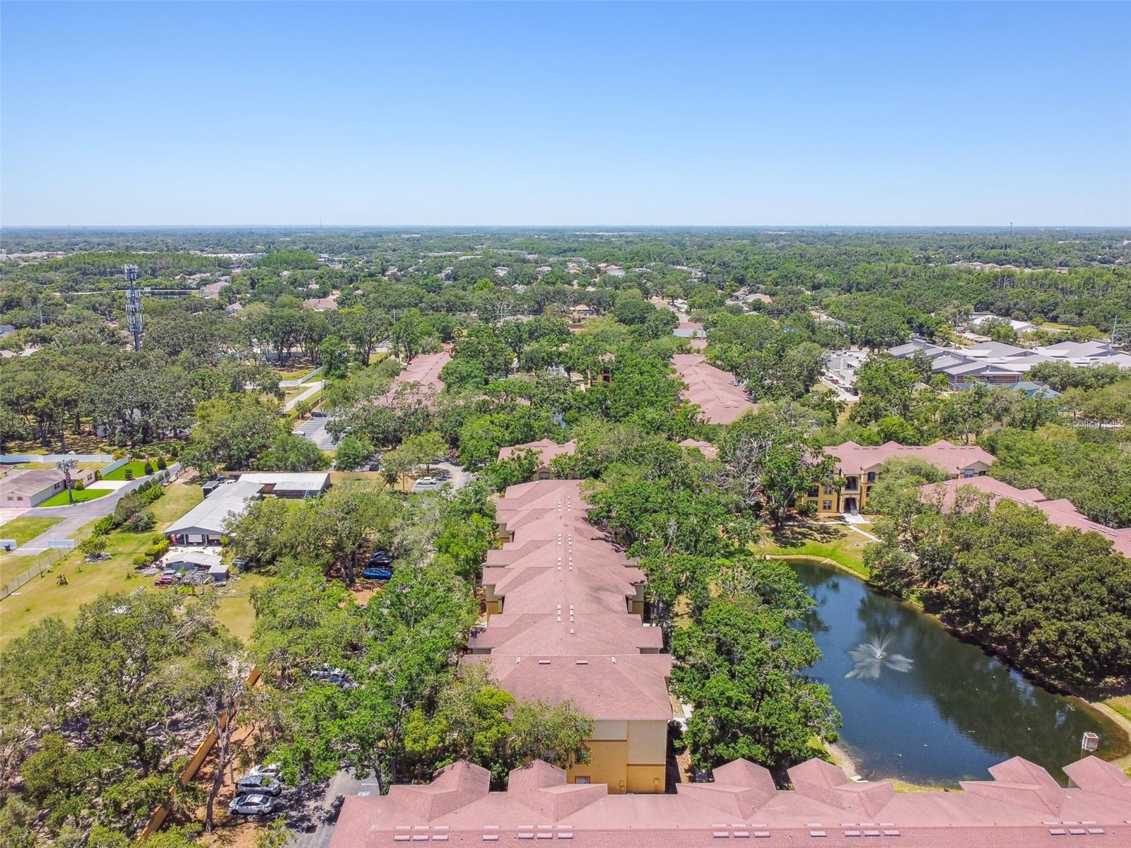 THE PINNACLE AT CARROLLWOOD A - Residential