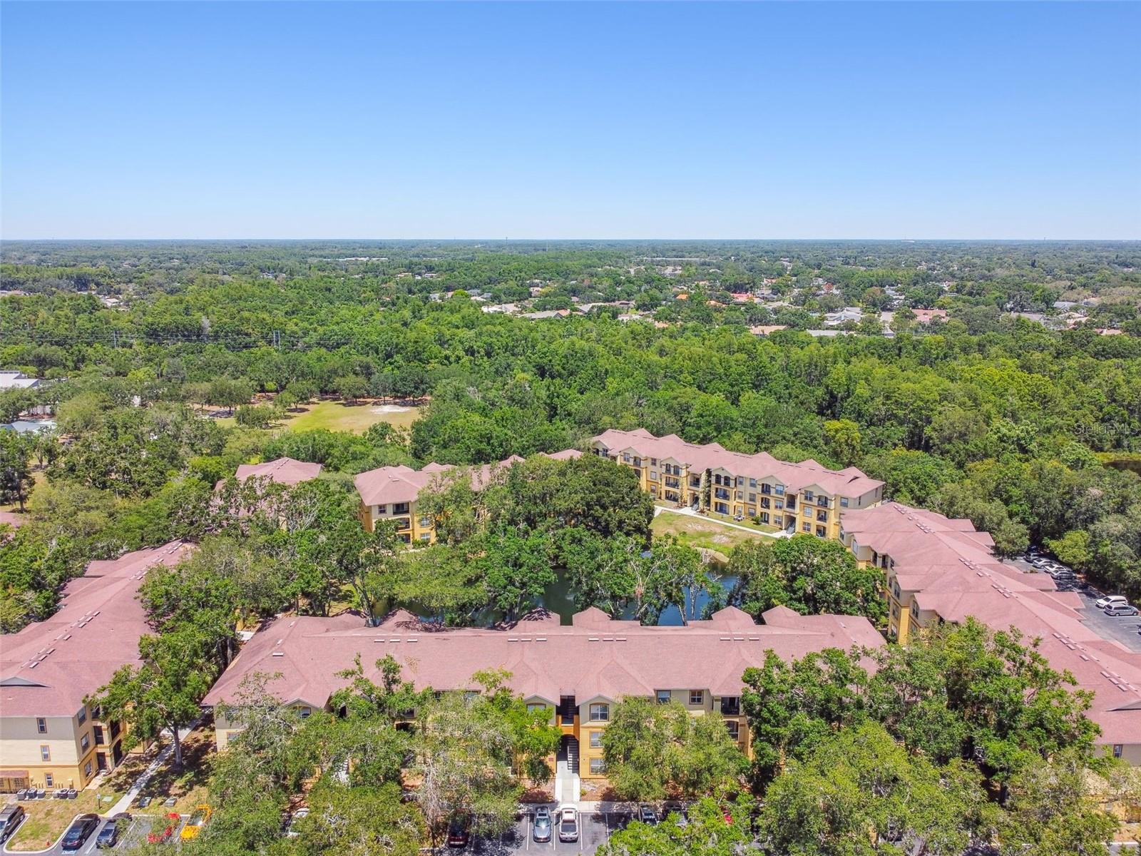 THE PINNACLE AT CARROLLWOOD A - Residential