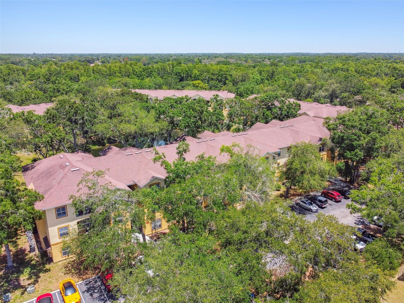 THE PINNACLE AT CARROLLWOOD A - Residential