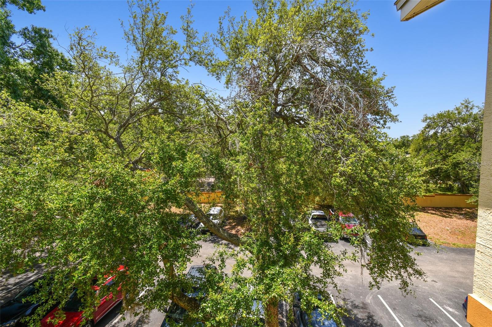 THE PINNACLE AT CARROLLWOOD A - Residential