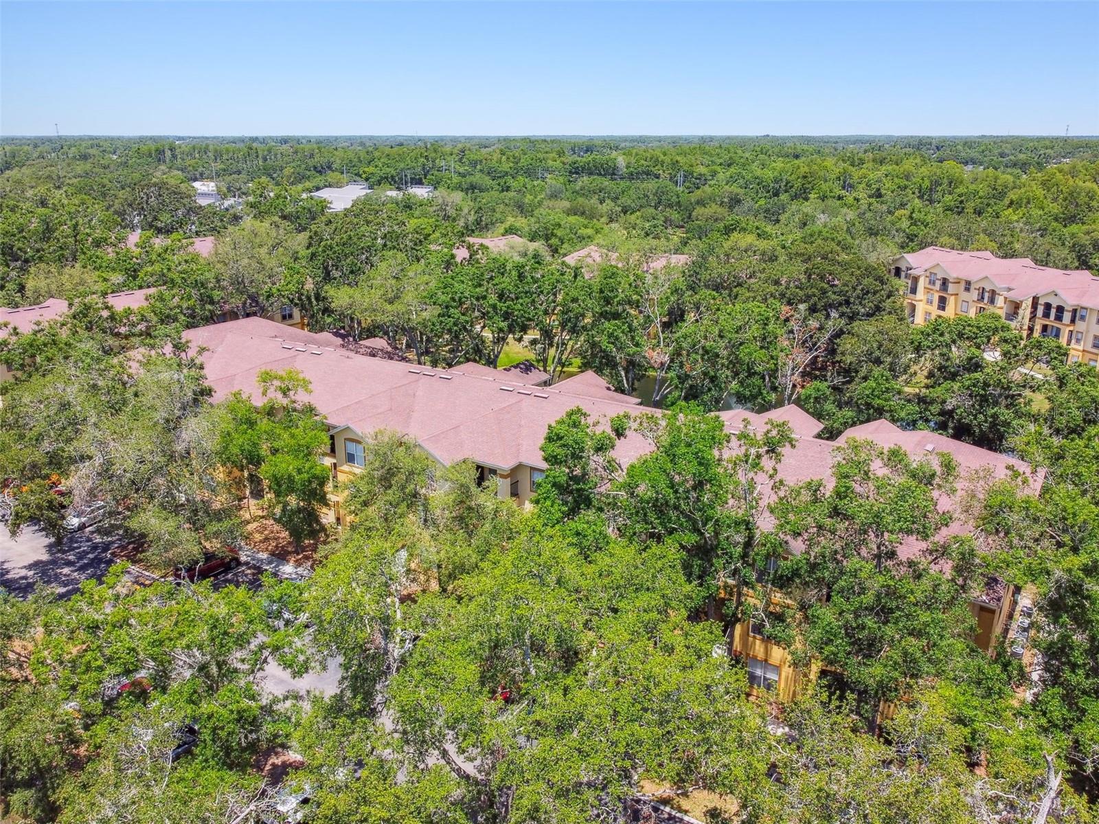 THE PINNACLE AT CARROLLWOOD A - Residential