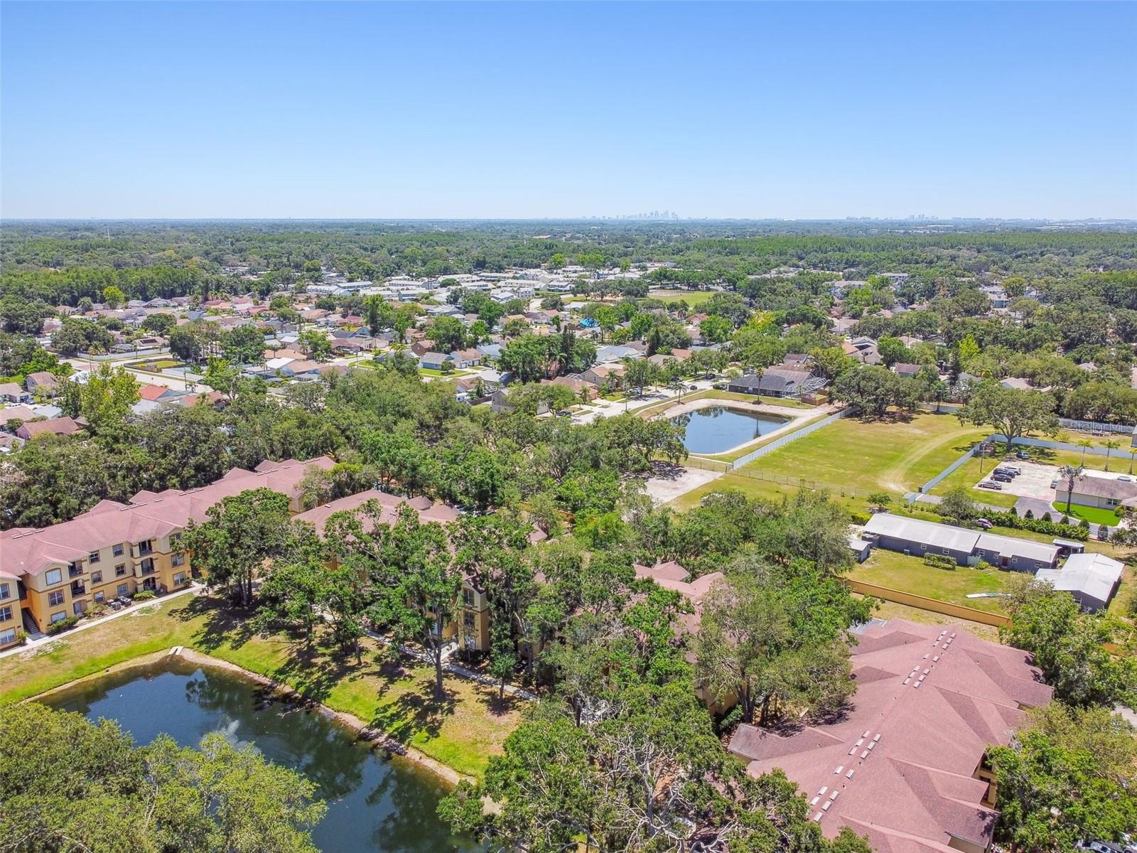 THE PINNACLE AT CARROLLWOOD A - Residential