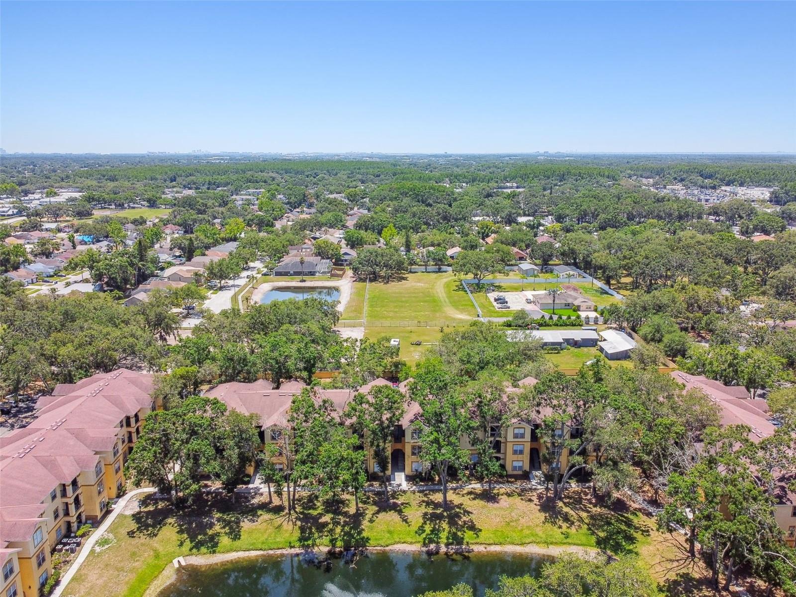 THE PINNACLE AT CARROLLWOOD A - Residential