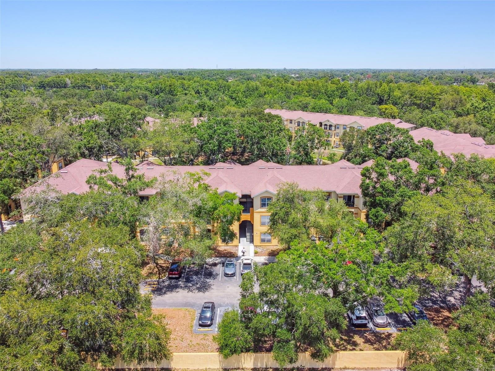THE PINNACLE AT CARROLLWOOD A - Residential