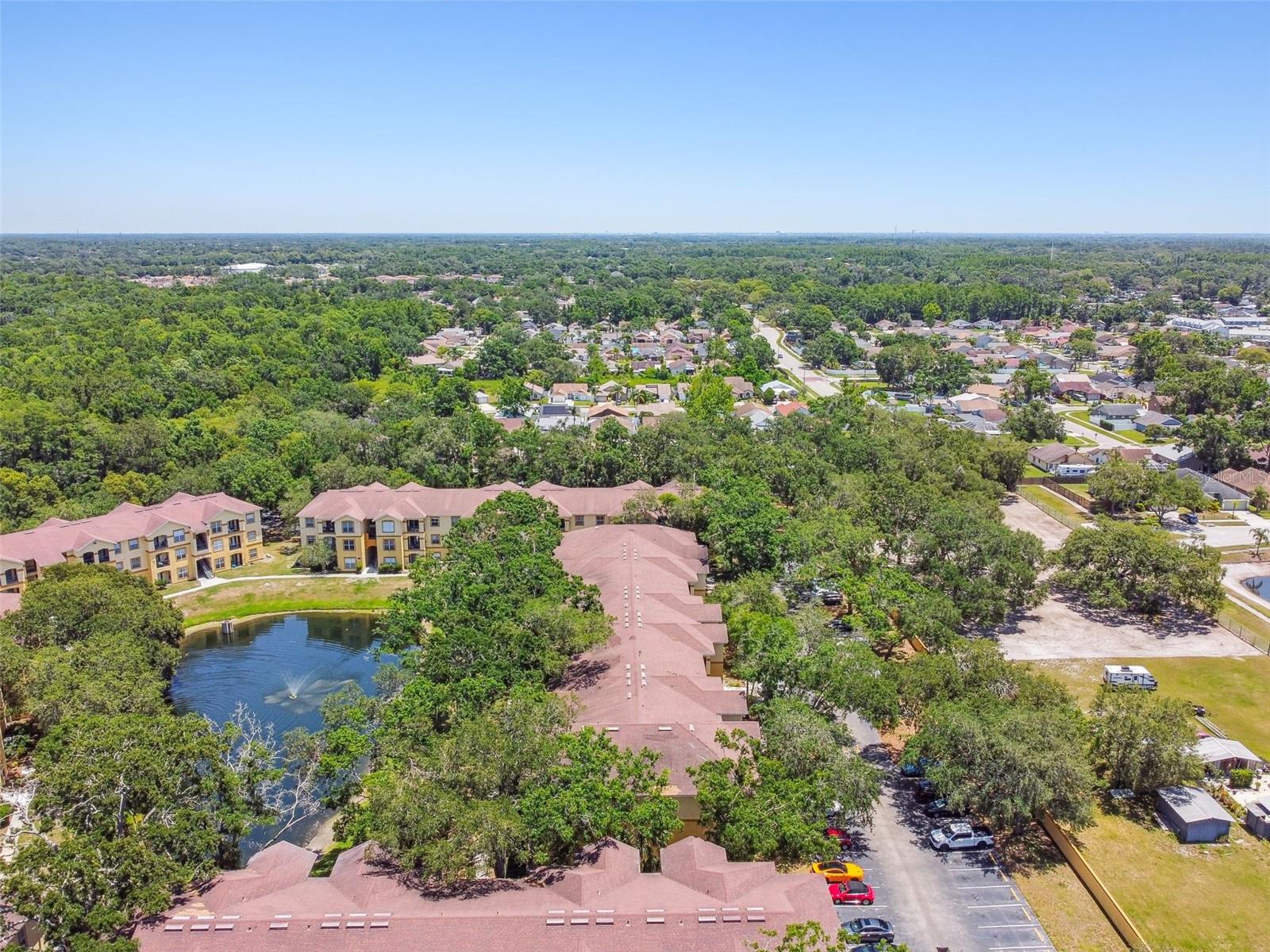 THE PINNACLE AT CARROLLWOOD A - Residential