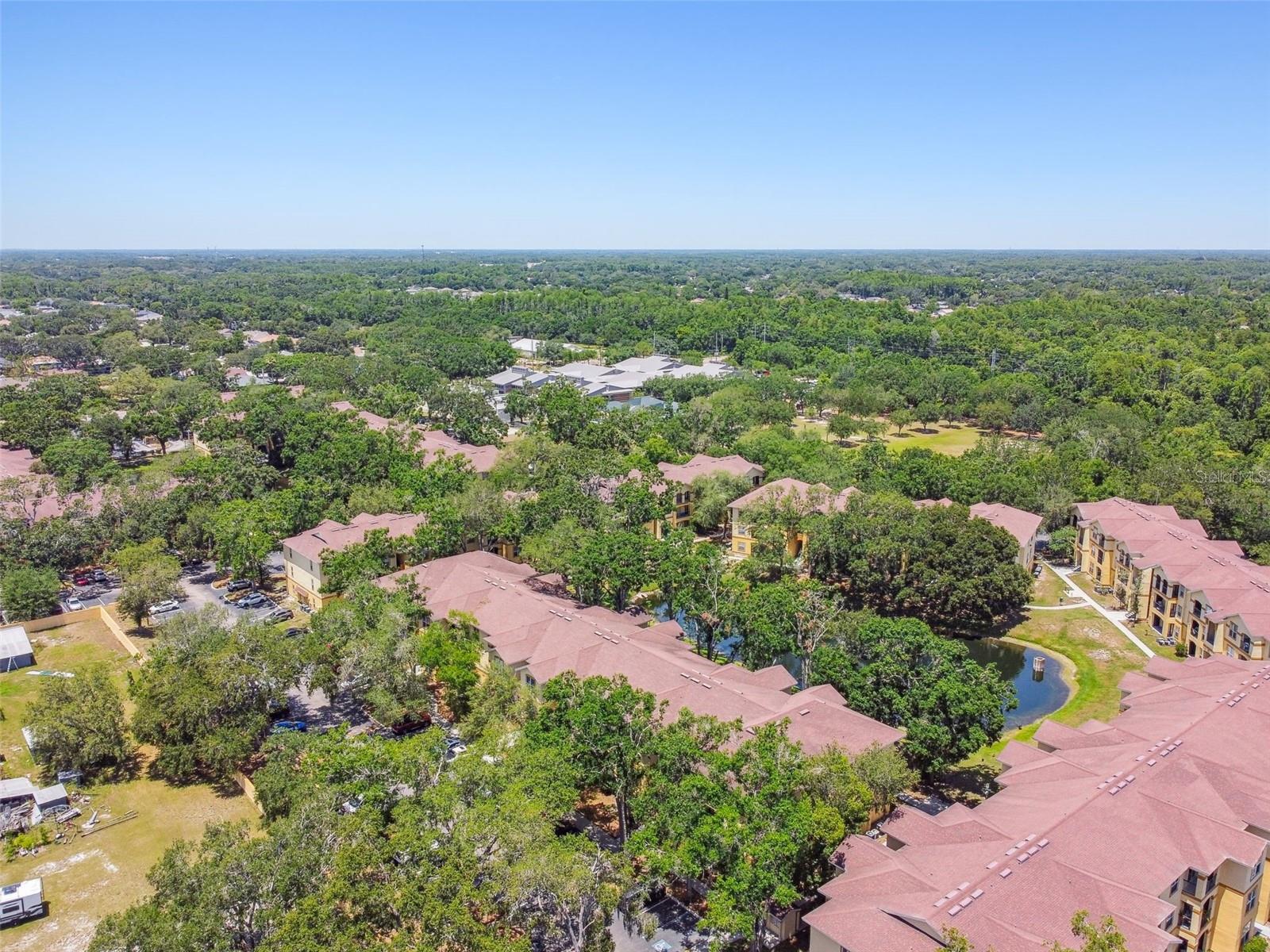 THE PINNACLE AT CARROLLWOOD A - Residential