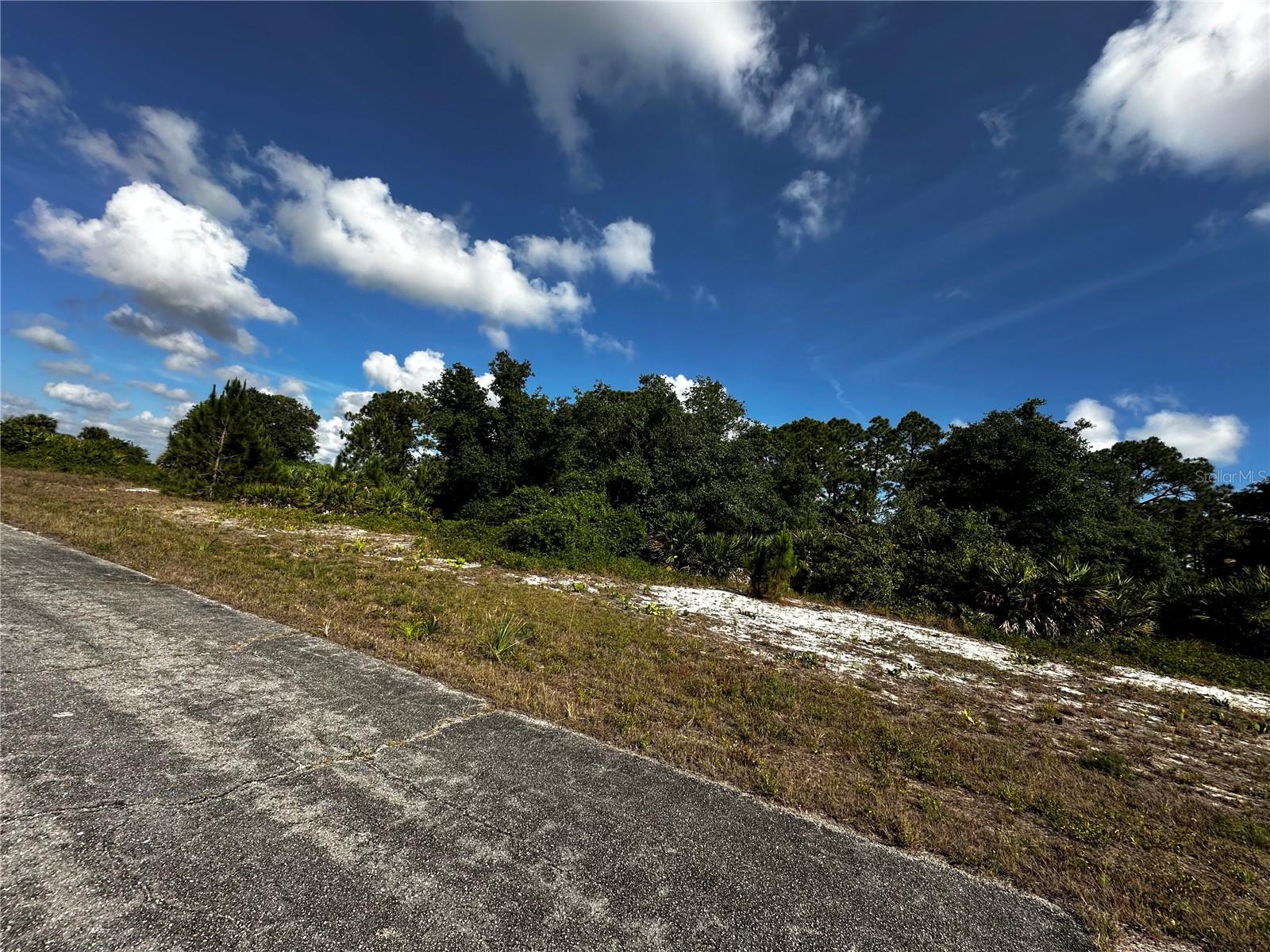 Excellent opportunity to own affordable land in Port LaBelle! This spacious 0.26-acre residential lot sits on a paved asphalt road, offers added privacy with no rear neighbors, and is just 8–10 minutes from downtown LaBelle and 15 minutes from Lehigh. With no HOA fees, this lot offers flexibility and space for a variety of residential building plans.
The oversized lot provides plenty of room for a large backyard, outdoor living spaces, gardens, or future home expansions. Experience the feel of quiet, country-style living while remaining close to local schools, parks, shopping, dining, and community events in LaBelle.
Whether you’re seeking a site to build a primary residence, looking for an affordable land investment, or planning a future build close to town, this property offers both value and potential.
With Port LaBelle’s ongoing growth and increasing demand for residential lots, this is a great opportunity to secure land in a developing area.
Don’t miss out—contact us today and start making plans for your new home!