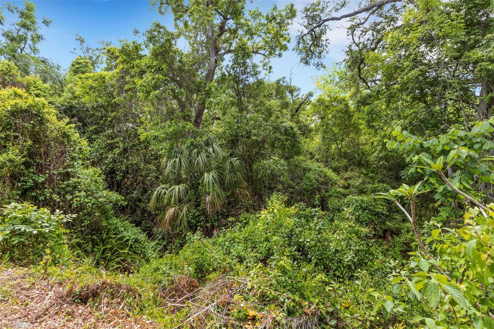 BRIAR CREEK MOBILE HOME COMMUNITY I CONDO - Residential