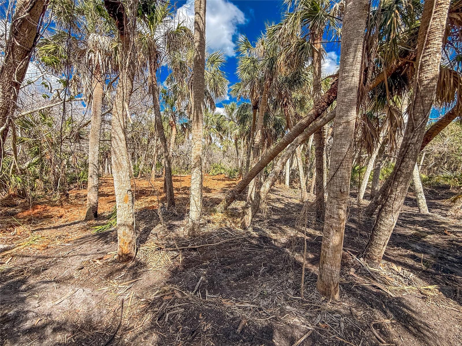 0 MANASOTA KEY ROAD Bay Side