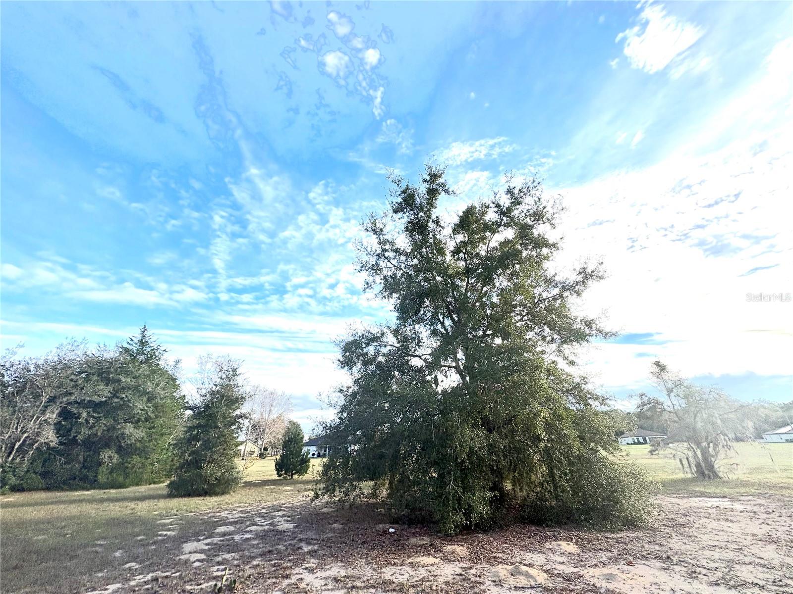 CITRUS HILLS 1ST ADD - Land