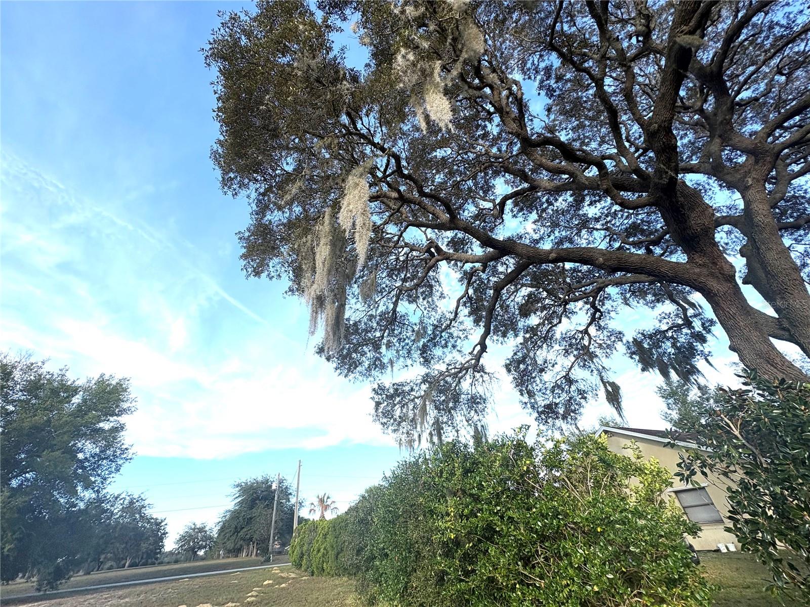 CITRUS HILLS 1ST ADD - Land