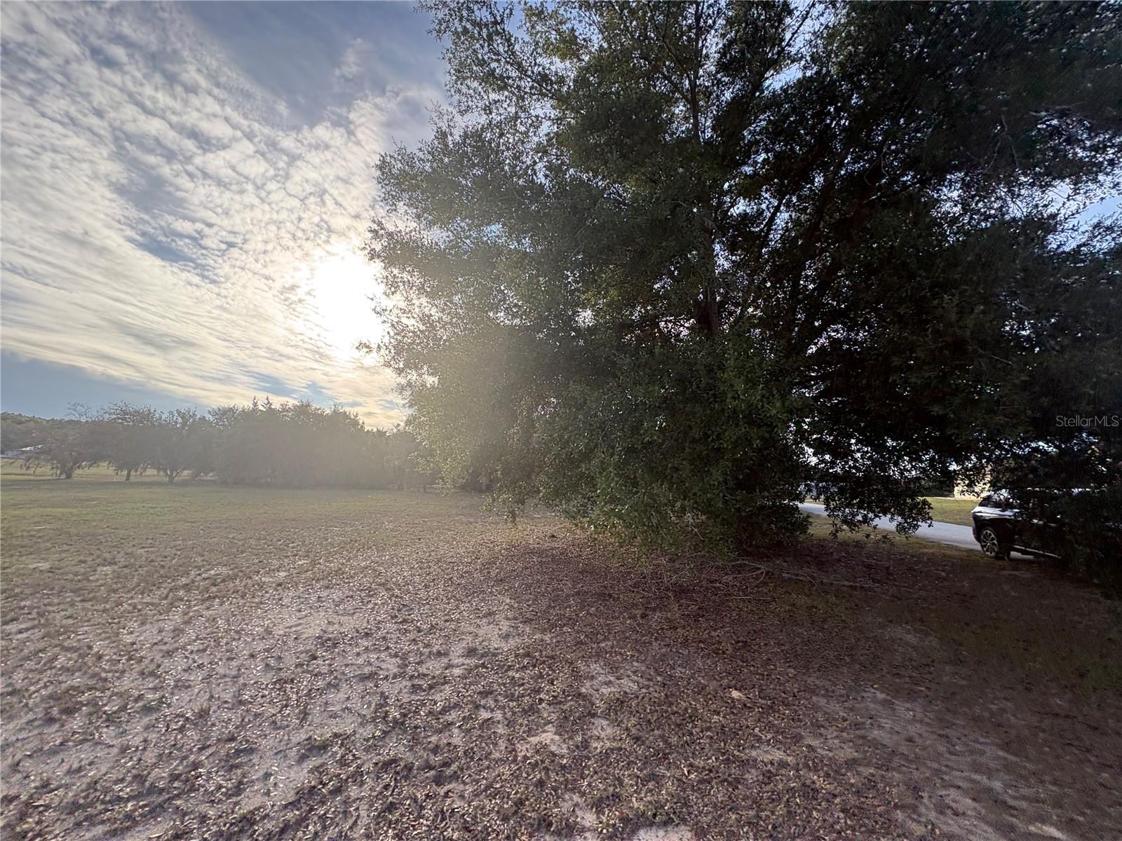 CITRUS HILLS 1ST ADD - Land