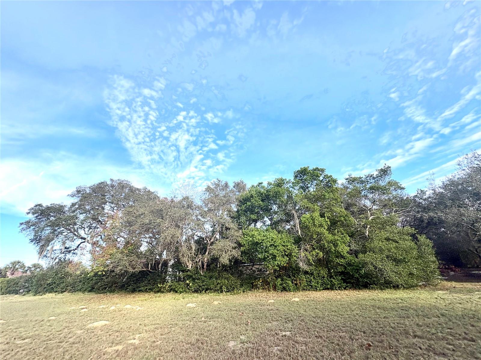 CITRUS HILLS 1ST ADD - Land