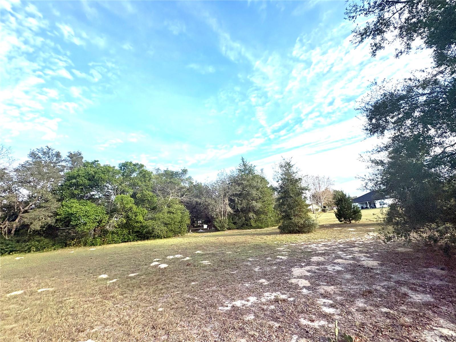 CITRUS HILLS 1ST ADD - Land