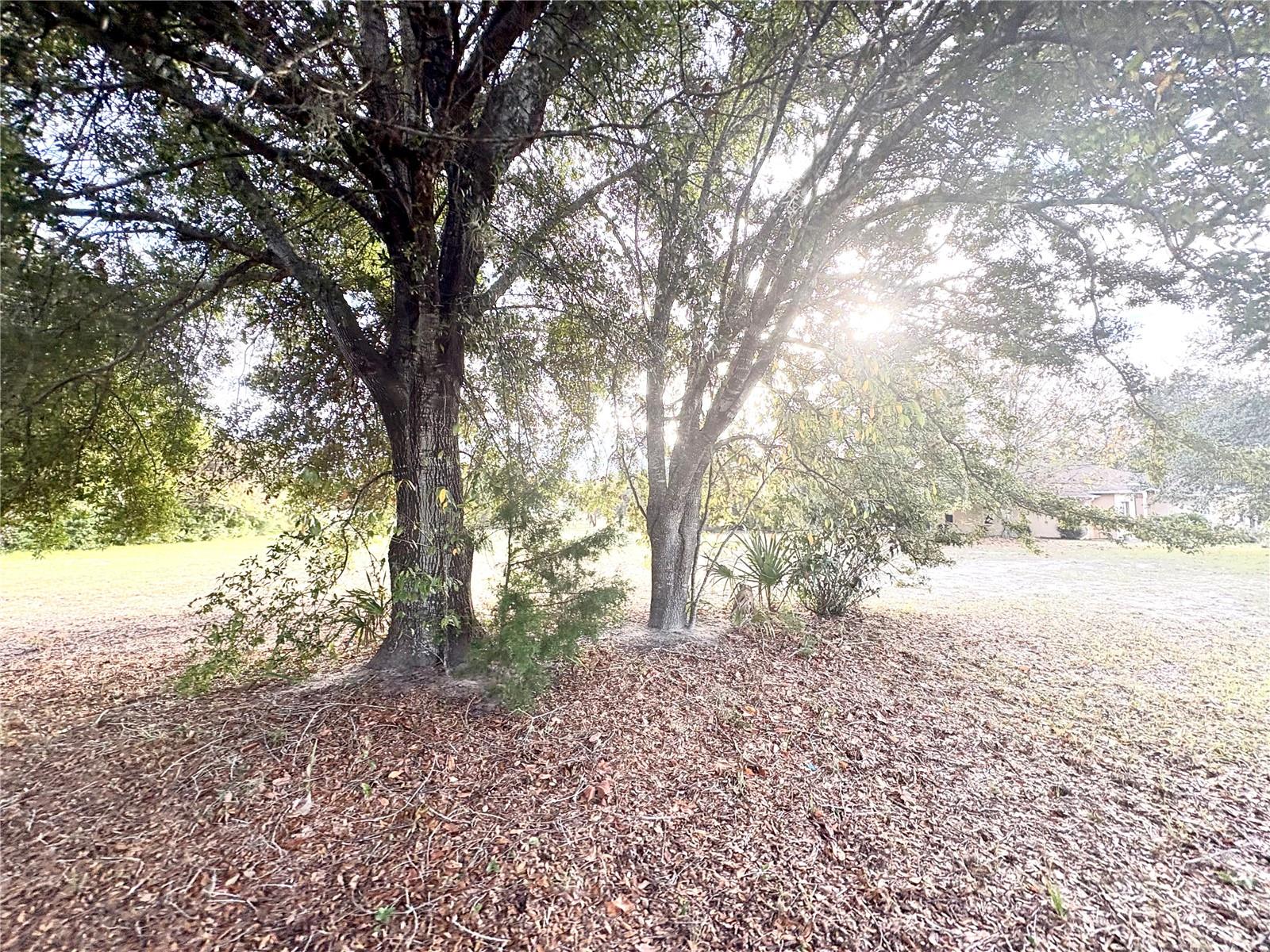 756 E BISMARK STREET