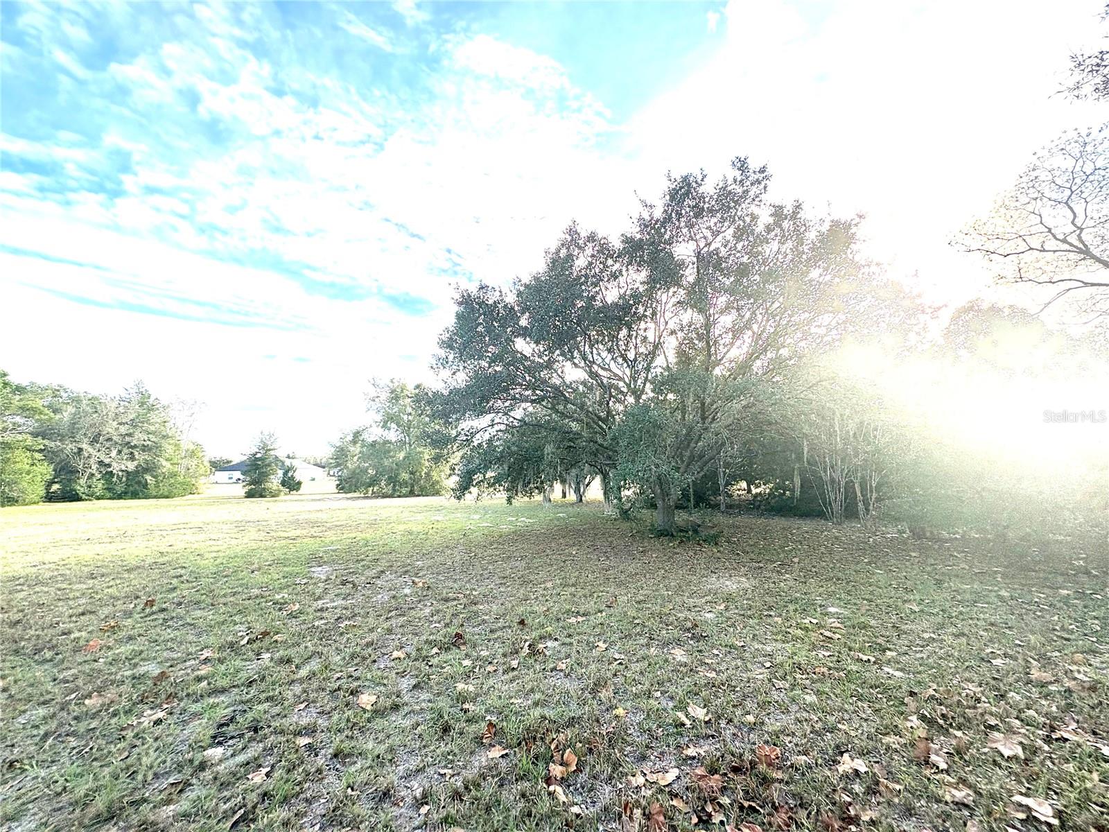 CITRUS HILLS 1ST ADD - Land