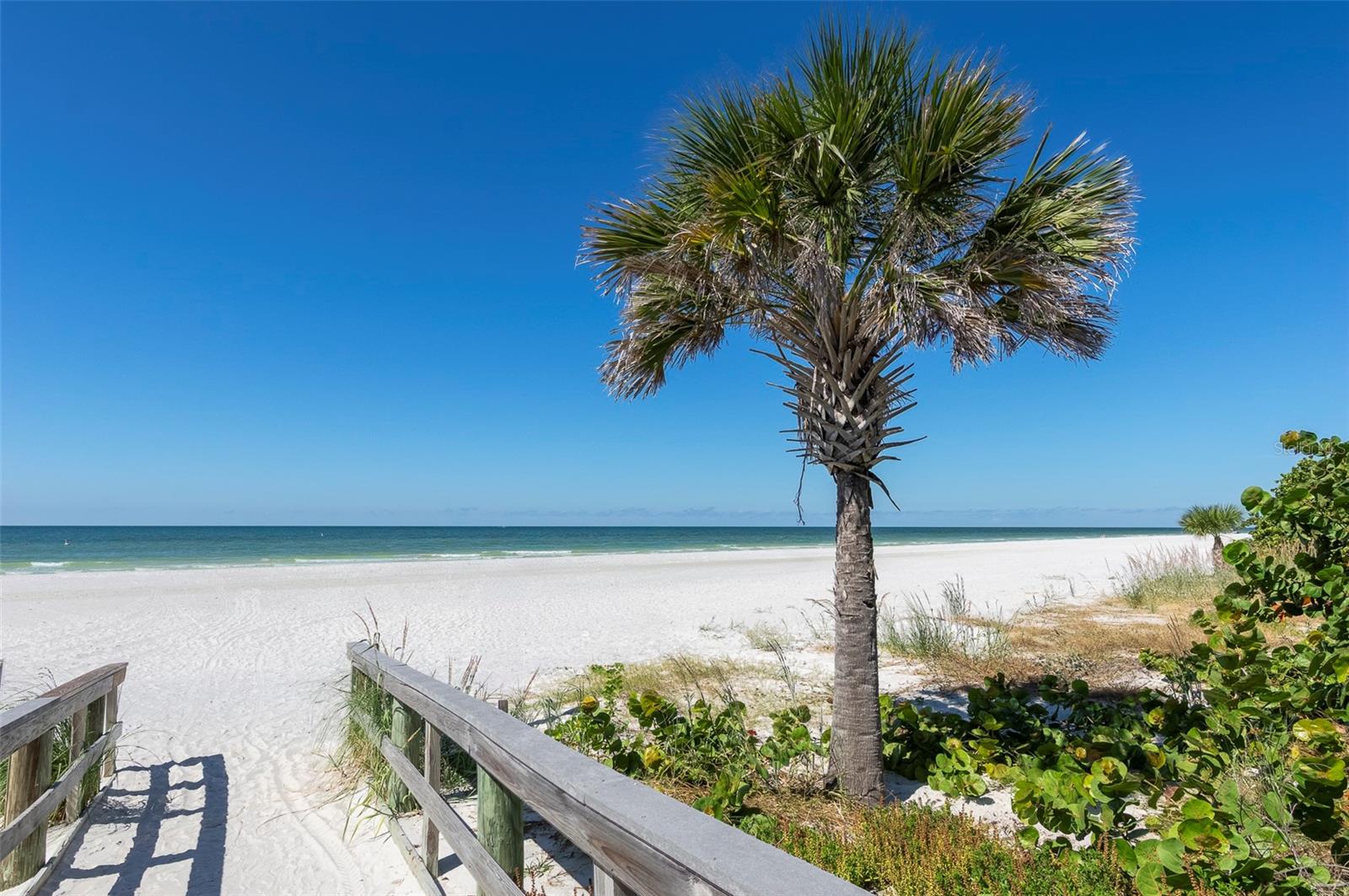 BAY MARINER THE CONDO - Residential