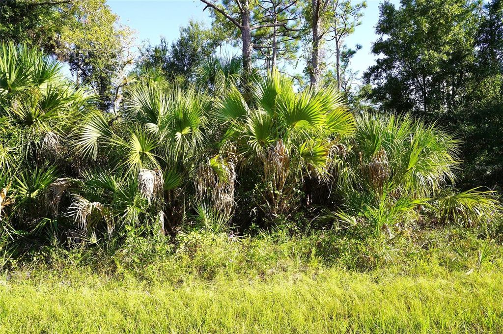 Photo of 1294 Birch Terrace, Port Charlotte, FL 33953 (MLS # C7516076)