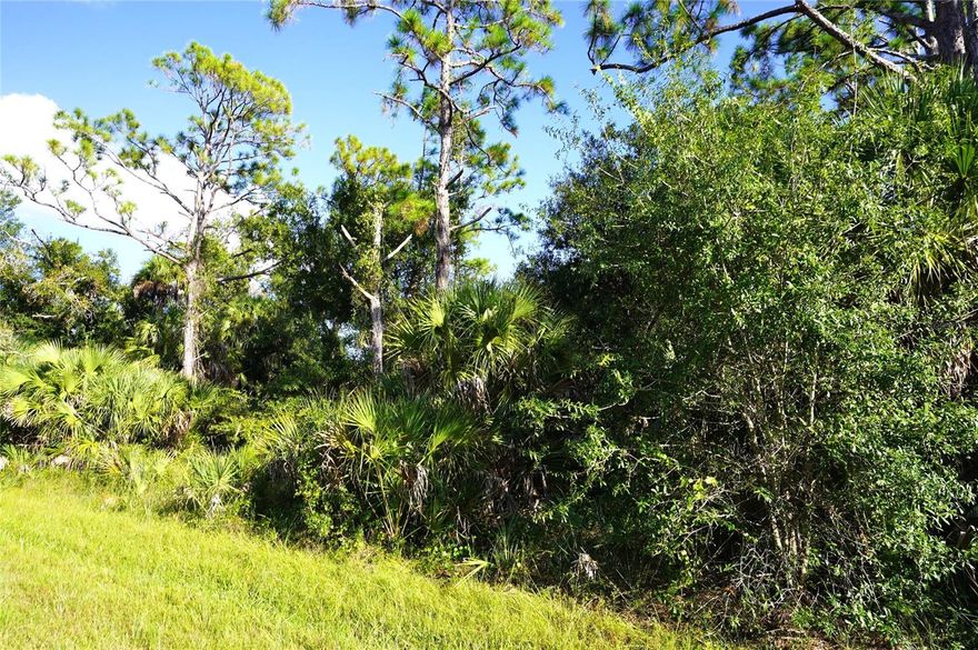 Buy and build or invest and wait. Location is close to Highway 41 or Tamiami Trail and Highway I-75. Lot size: 0.23 of acre = 9,999 sq ft. 80x125x80x125. Great location to invest or build your new home. Pick your own builder or ask for help. Conveniently located close to I-75 and local amenities, beaches, and Tiki Bars and Live entertainment daily. The best Tarpon and red game fishing in the world with off speed boat racing to spring training baseball teams as The Atlanta Braves and Tampa Rays baseball teams. Just want to go to the local beaches (Port Charlotte, Boca Grande, Englewood and Sarasota beaches) or fishing for the day. Great to do it all with whatever you can dream or do as a hobby. Local International Airports: Fort Myers, Sarasota and local Punta Gorda with Allegiant airlines direct. Many outdoor concert venues weekly. Many local Tiki Clubs watch live entertainment to have a Sunset view. Local parks, state parks, tennis or pickleball, to amazing golf courses. Scrub jay free.  No permit needed.