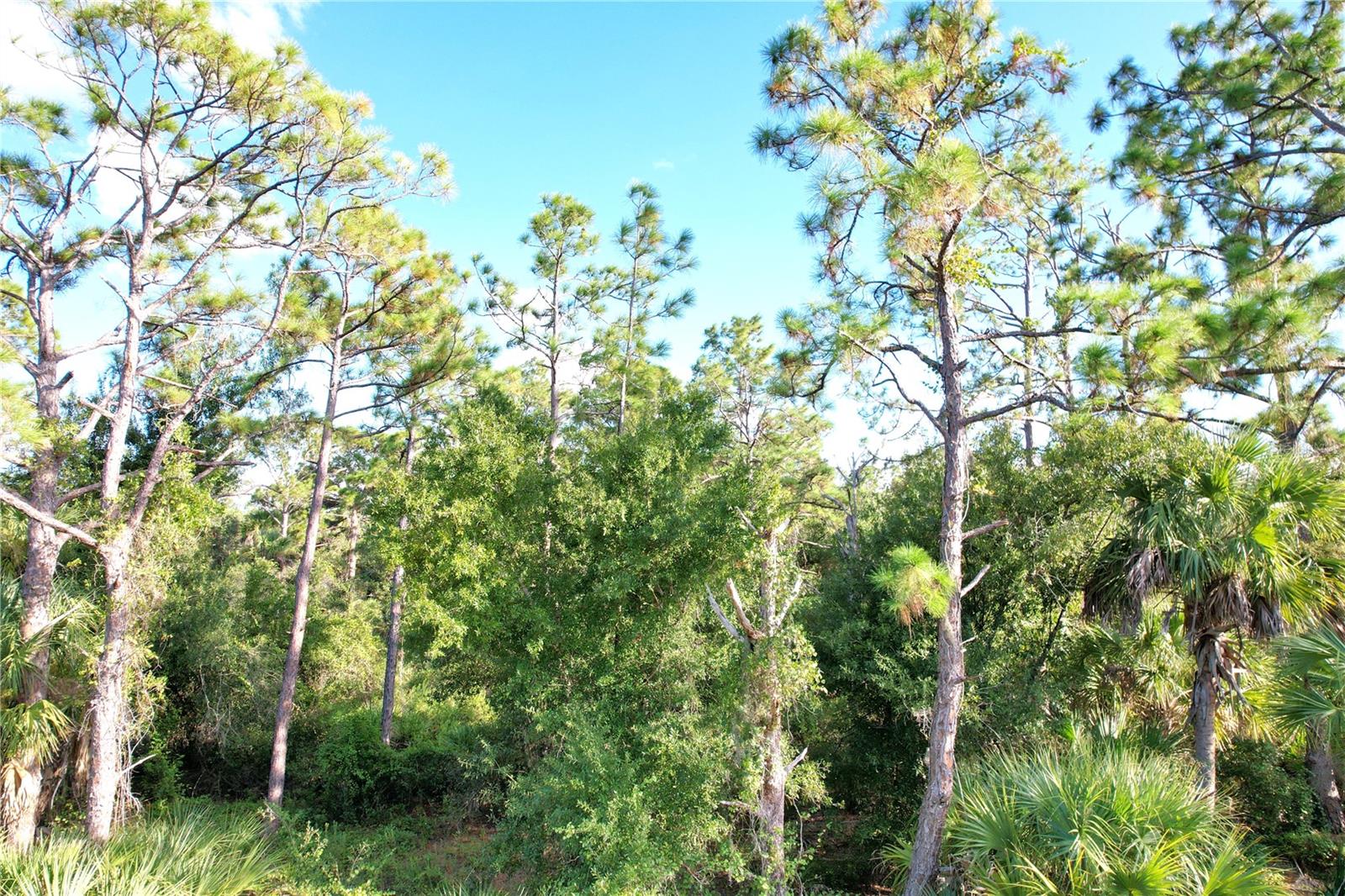PORT CHARLOTTE SEC 029 - Land
