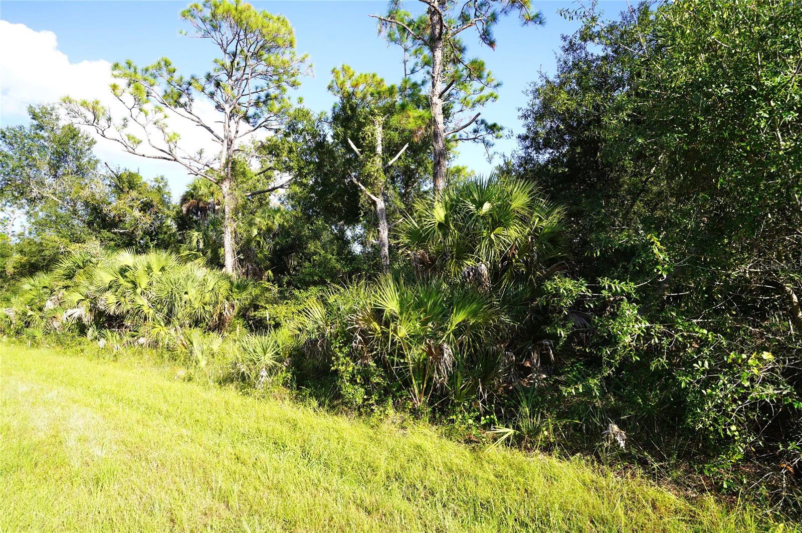 PORT CHARLOTTE SEC 029 - Land