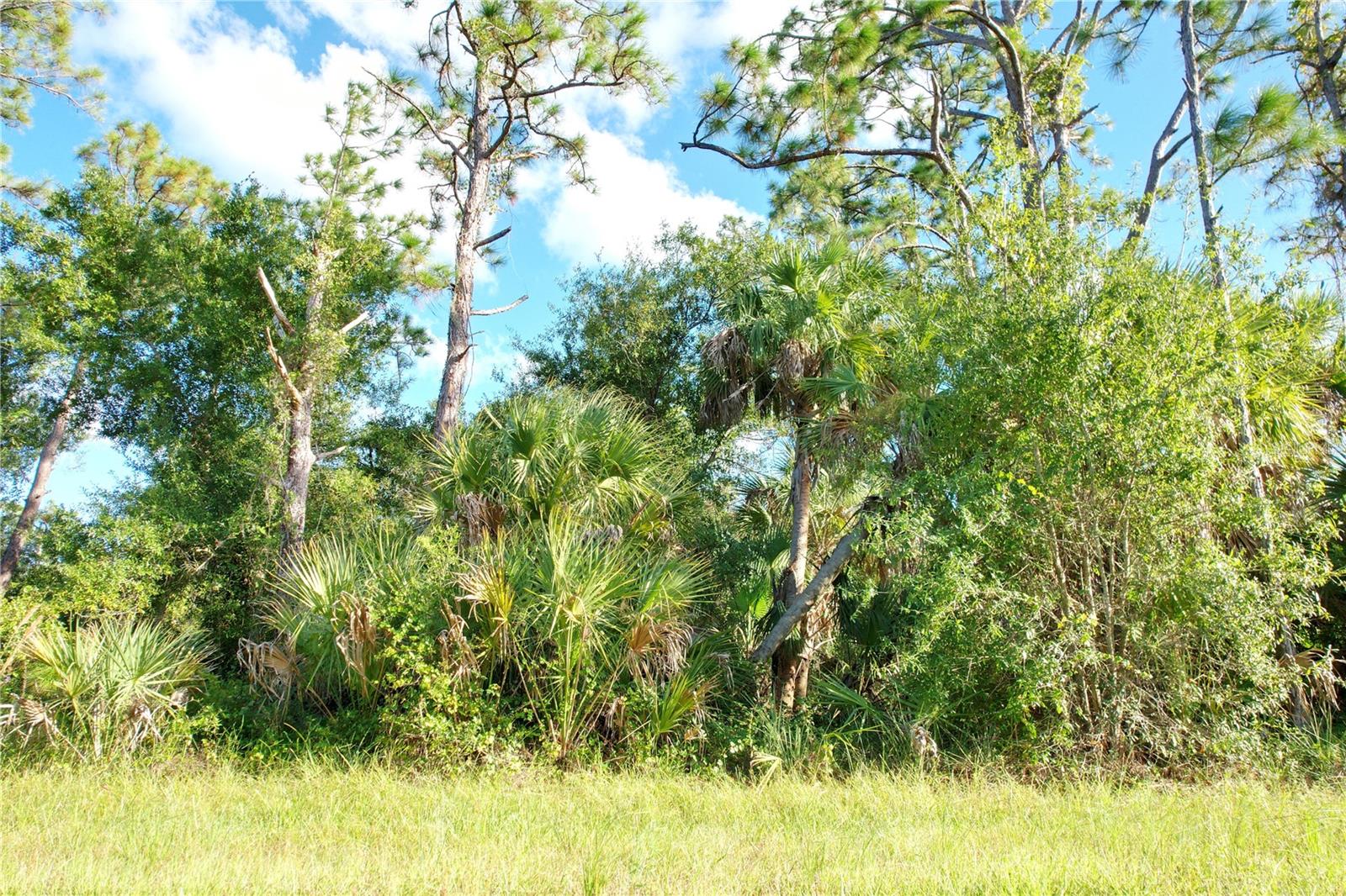 PORT CHARLOTTE SEC 029 - Land