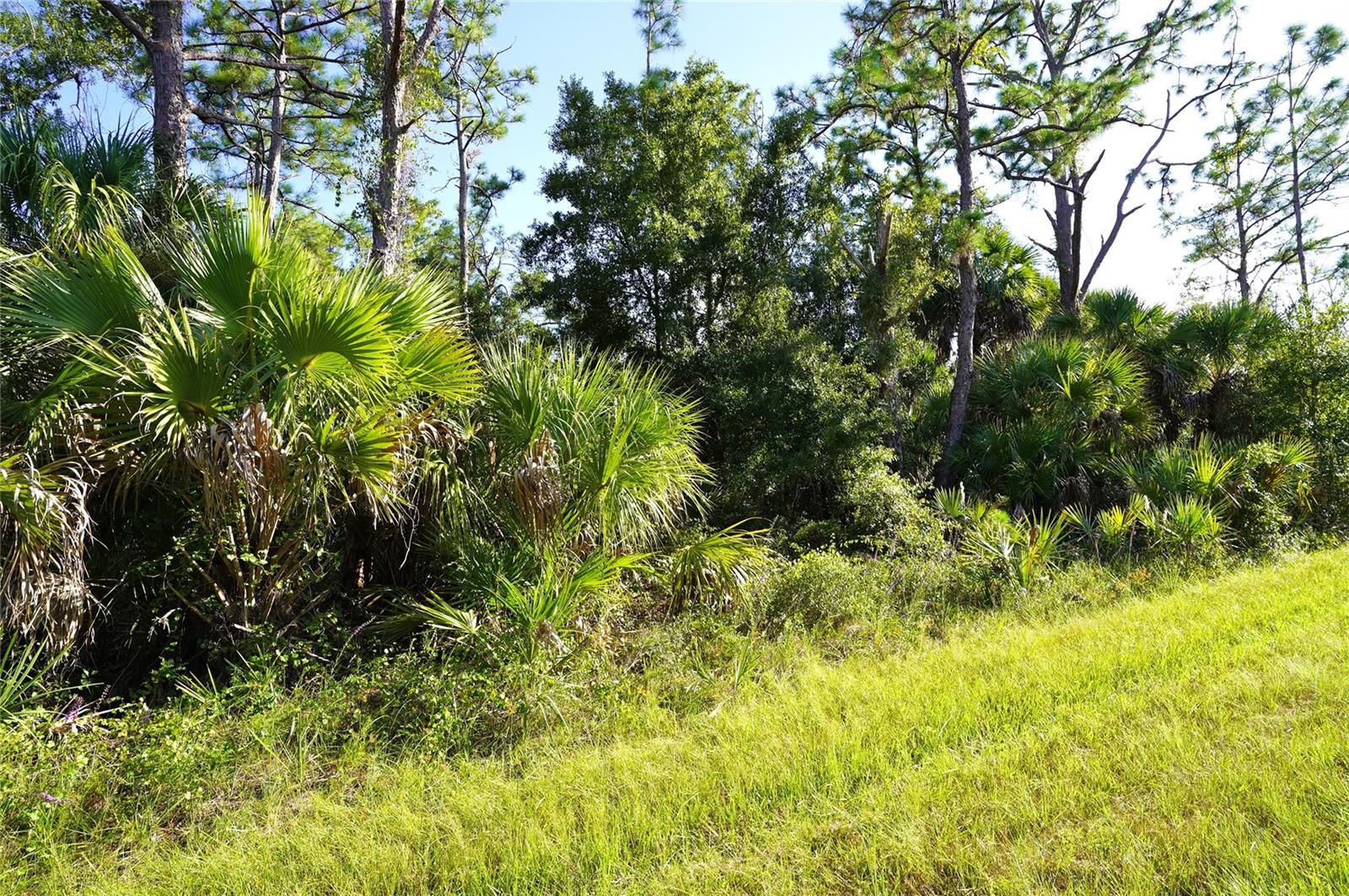 PORT CHARLOTTE SEC 029 - Land