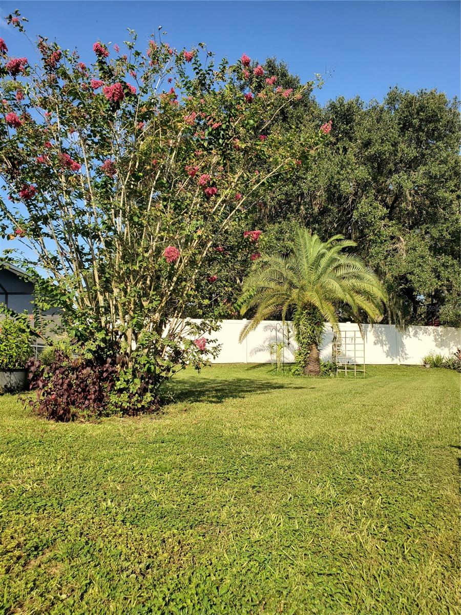 VILLAGES AT WESLEY CHAPEL PH 01B 01C - Residential