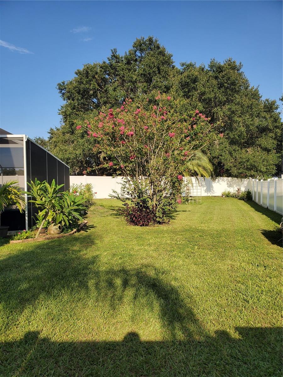 VILLAGES AT WESLEY CHAPEL PH 01B 01C - Residential