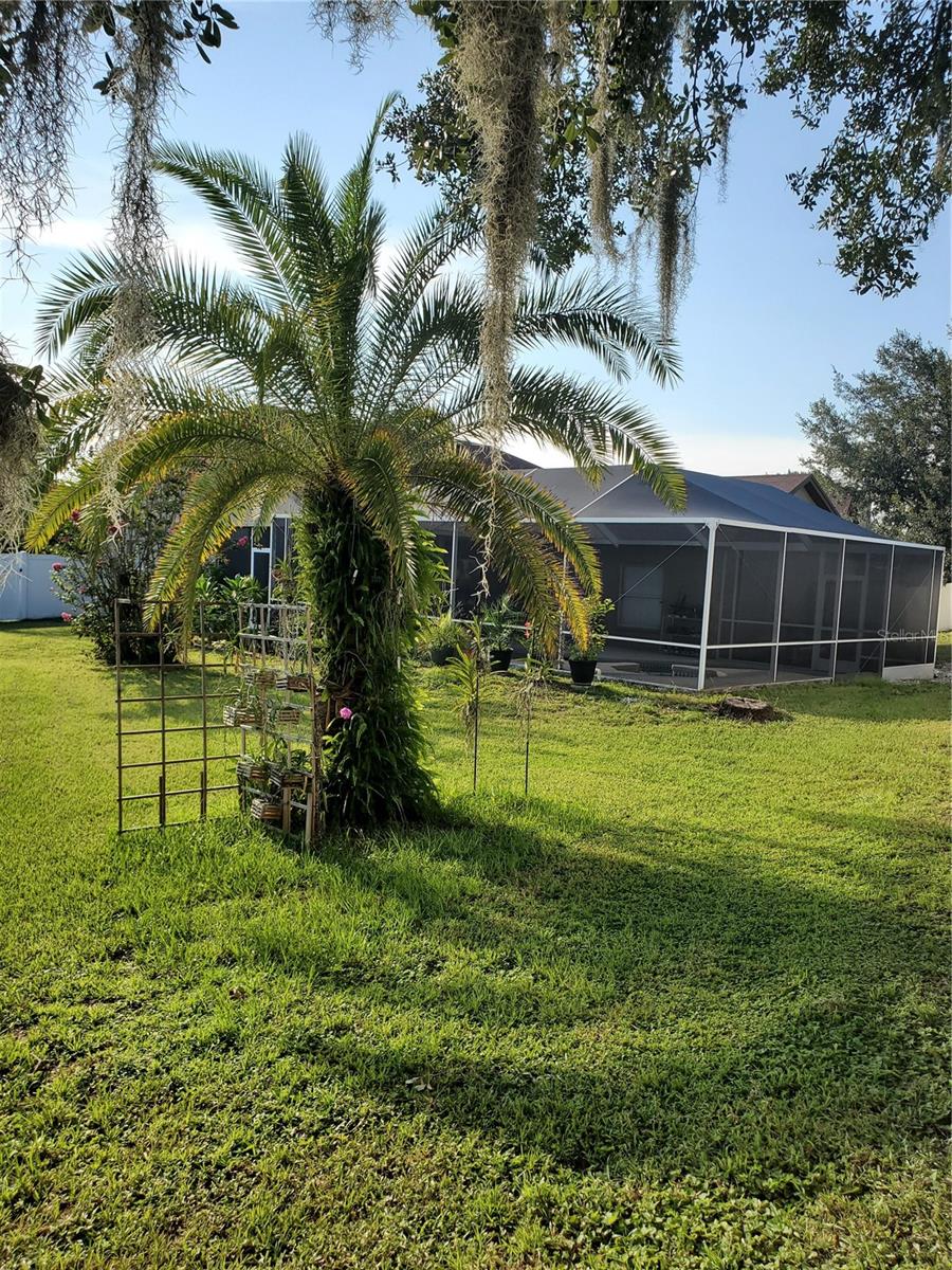 VILLAGES AT WESLEY CHAPEL PH 01B 01C - Residential