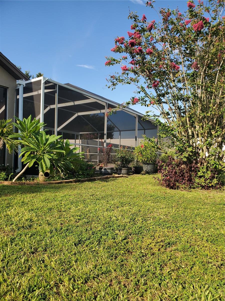 VILLAGES AT WESLEY CHAPEL PH 01B 01C - Residential