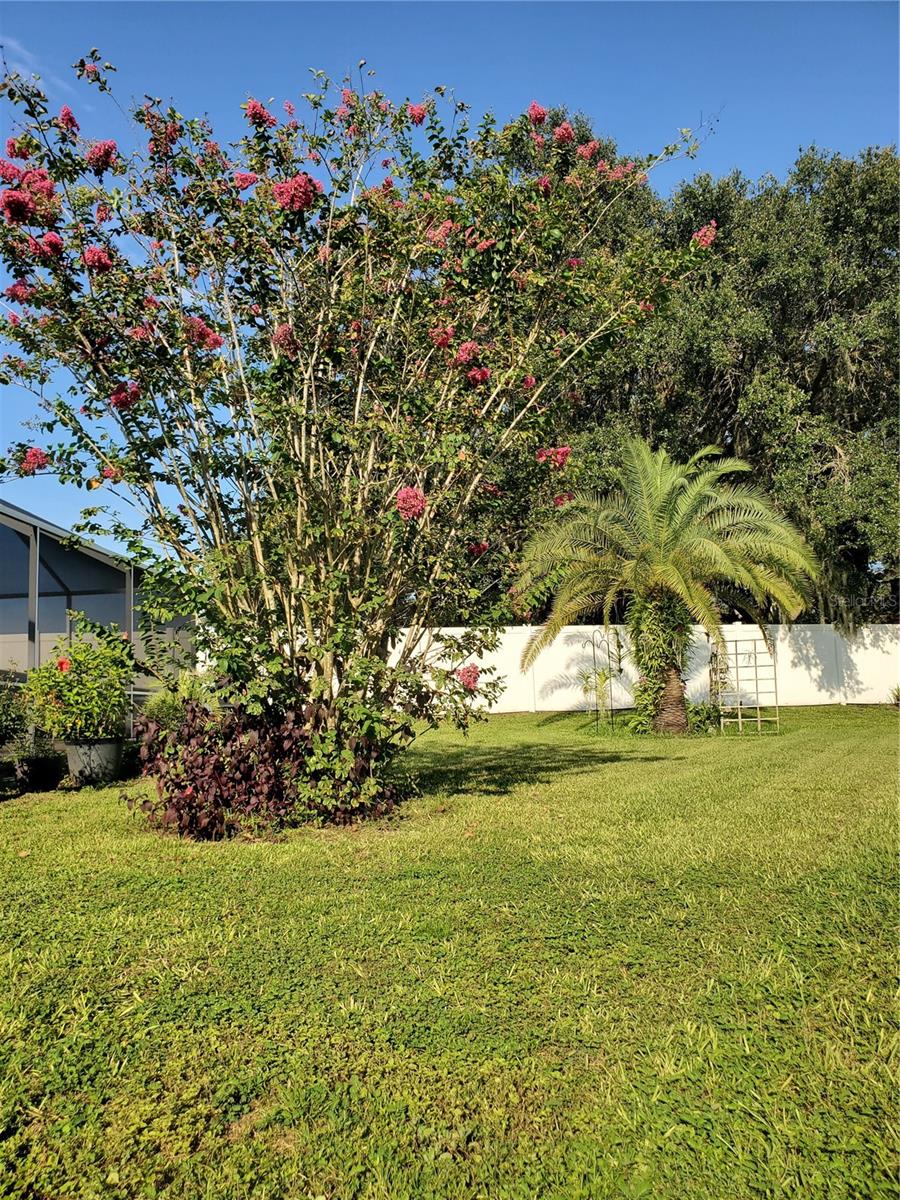 VILLAGES AT WESLEY CHAPEL PH 01B 01C - Residential