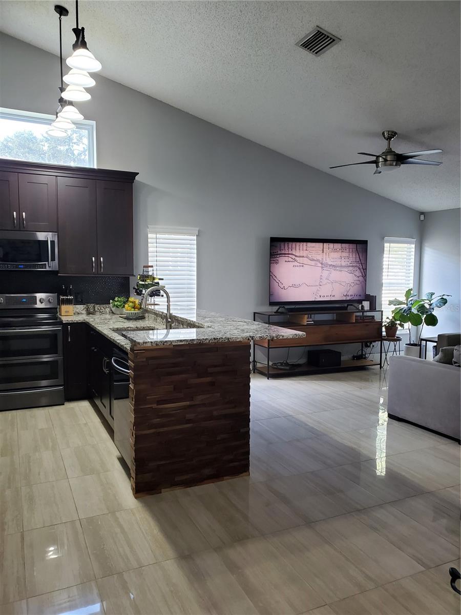 VILLAGES AT WESLEY CHAPEL PH 01B 01C - Residential