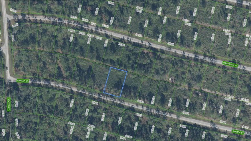 Super nice lot in a great area of Sebring. And better yet, $13,500 is a fantastic price to build your dream or investment. MAKE OFFER!