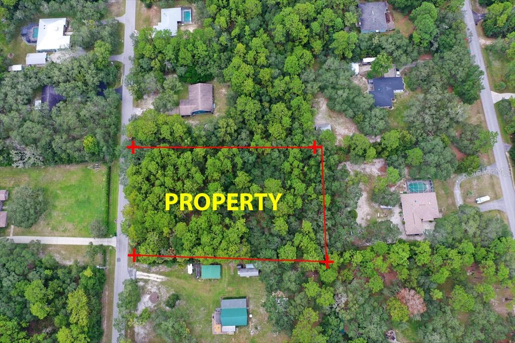 Photo of 2659 S Bolton Avenue, Homosassa, FL 34448 (MLS # A4707873)