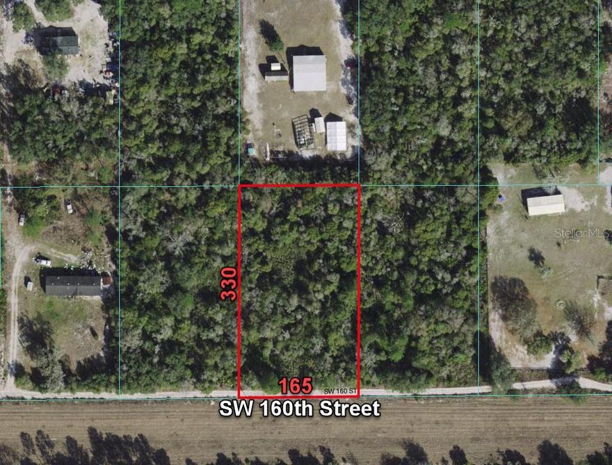 Land - They don't make it anymore!  1.25 Acres, high and dry home site with peace and quiet.  Mobile Homes allowed!  Build your dream home today or invest in your future!  Located in Marion County, in the heart of North Central Florida.  Enjoy the rural atmosphere, outdoor activities, and nearby attractions. An outdoor paradise awaits.  Yet, shopping, dining, and excellent healthcare facilities are all nearby.  Ocala, Orlando, and the Tampa Bay area are all an easy commute. Own it today for a quick cash price of $20,900. That's way below recent comparable sales and FAR below nearby properties on the market!  The subject is a vacant lot and does not yet have an assigned address.  The address is approximate, is based on online resources, and is for mapping purposes only.  Use 28.990142, -82.263363 in your GPS or Goog  maps to help navigate to the property.  The subject is located along the north side of SW 160th Street, approximately 660 feet (.12 mile) west of SW 85th Ave .  The subject is between the two homes with addresses of 8585 and 8707 SW 160th Street, with an approximate address of  8647 SW 160th Street, Dunnellon, FL.  From the corner of S.R. 200 and S.R. 484, head southwest on S.R. 200 for 3.2 miles.  Turn left on to SW 140th Street and then right (south) on SW 119th Ct for 1 mile. Turn left (east) on SW 150th Street for .9 mile.  Turn right (south) on SW 110th Ave for .5 mile.  Turn left (east) on SW 155th St for 2.5 miles.  .  Turn right (south) on SW 110th Ave for .5 mile.  Turn left (east) on SW 155th Street for 1 mile.  Turn right (south) on SW 8th Ave for .5 mile.  Turn right (west) on SW 160th Street.  The subject is on your right, approximately .12 mile (660 feet) down.
