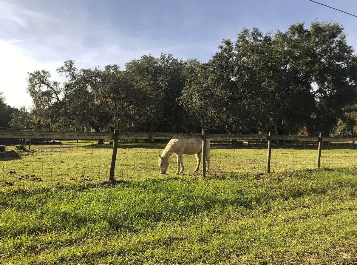 FLORIDA HIGHLANDS - Land