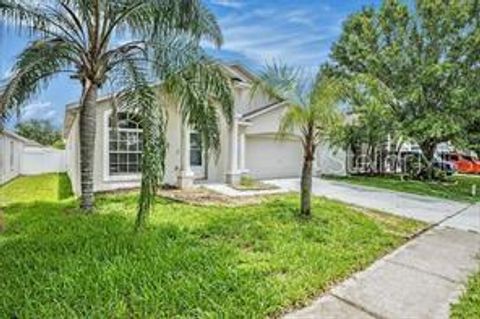 10039 CREEK BLUFF DRIVE RIVERVIEW FL 33578