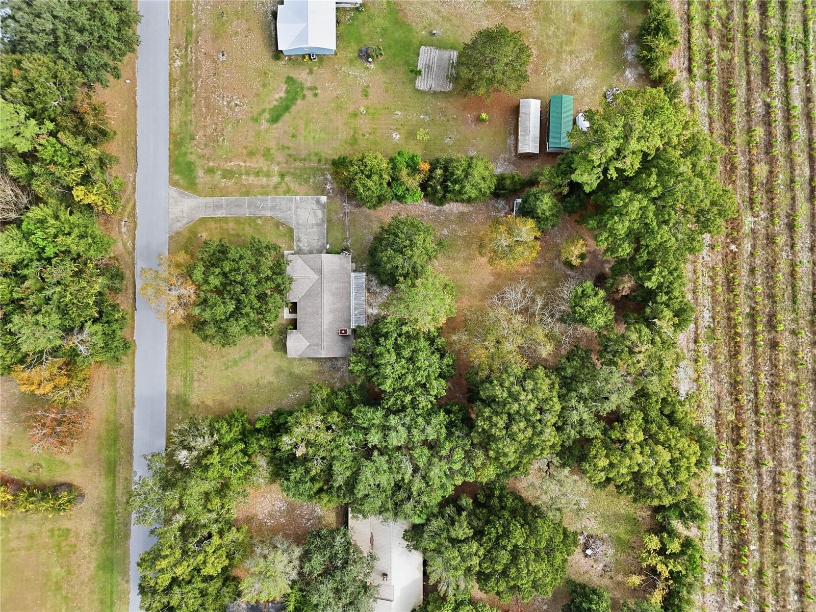 EXECUTIVE HOMES - Residential