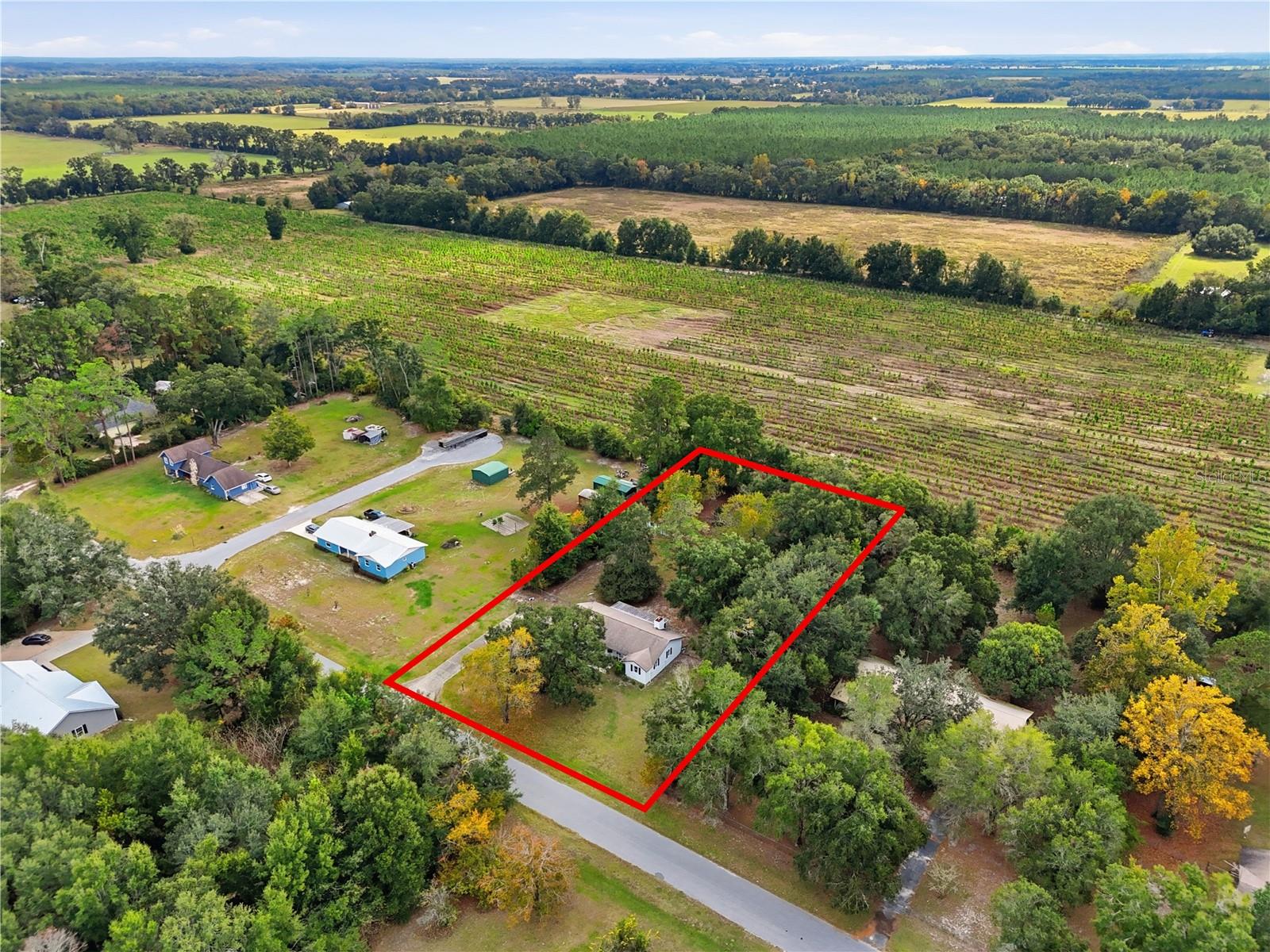 EXECUTIVE HOMES - Residential