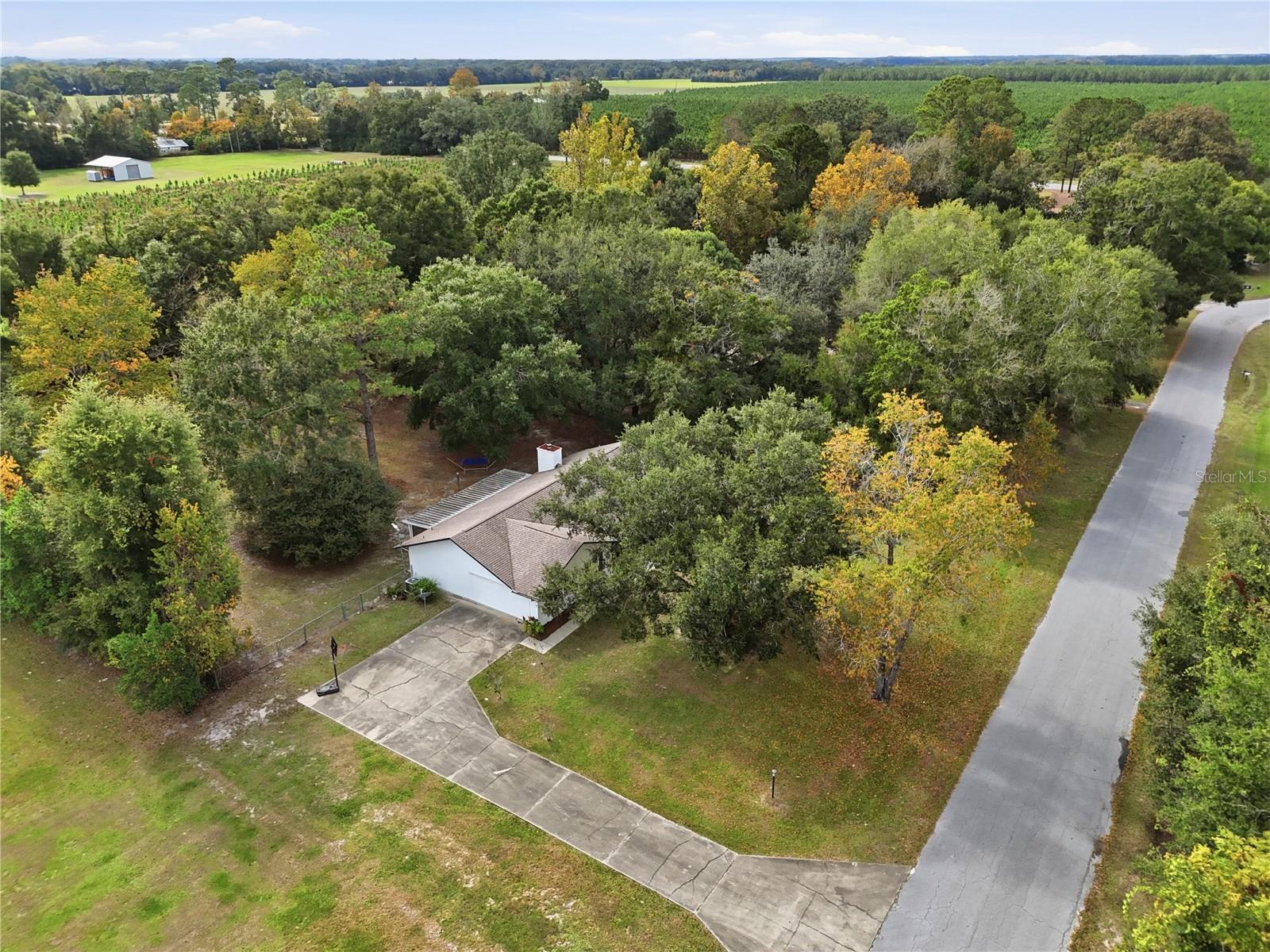 EXECUTIVE HOMES - Residential