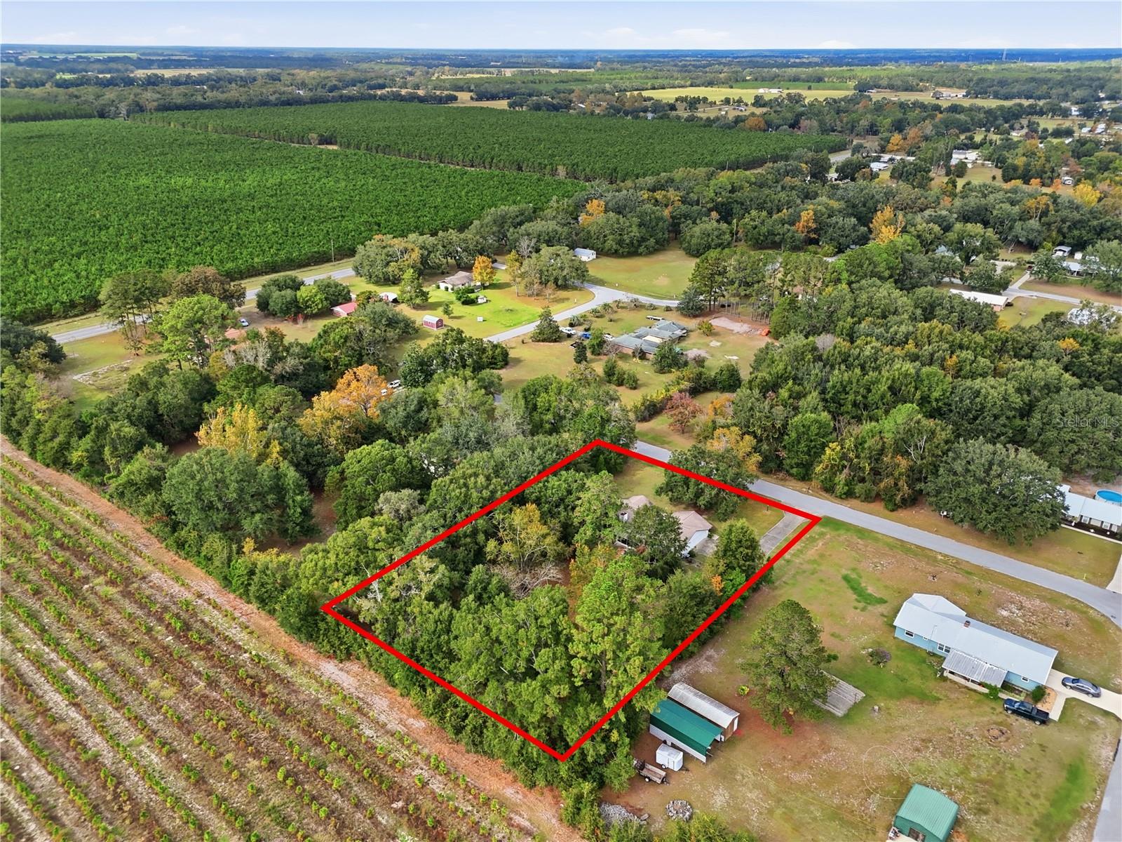 EXECUTIVE HOMES - Residential